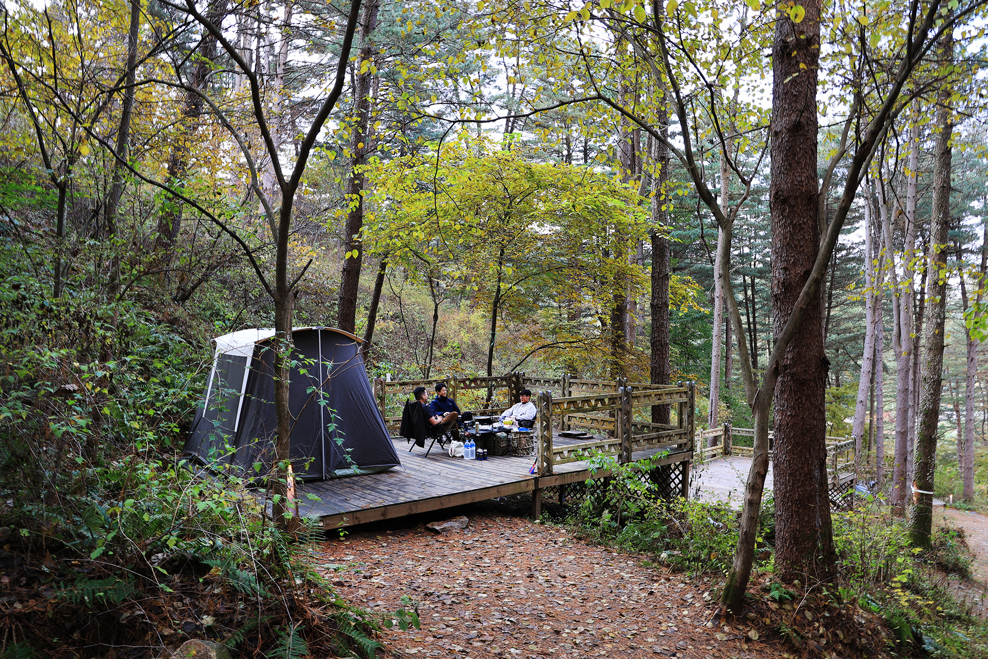 엉클킴스 캠핑장 이미지