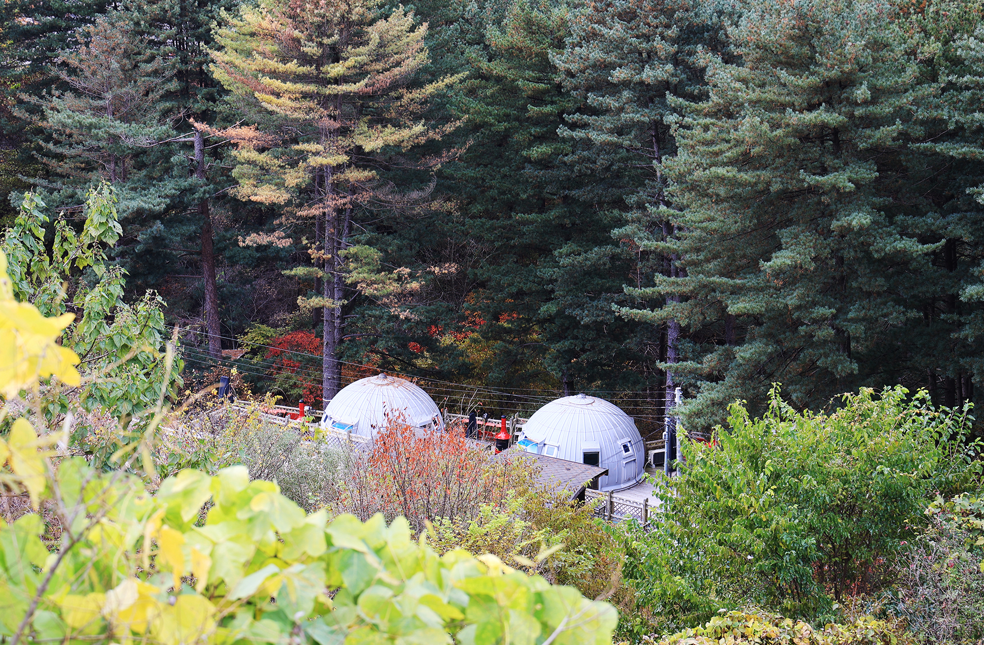 엉클킴스 캠핑장 이미지