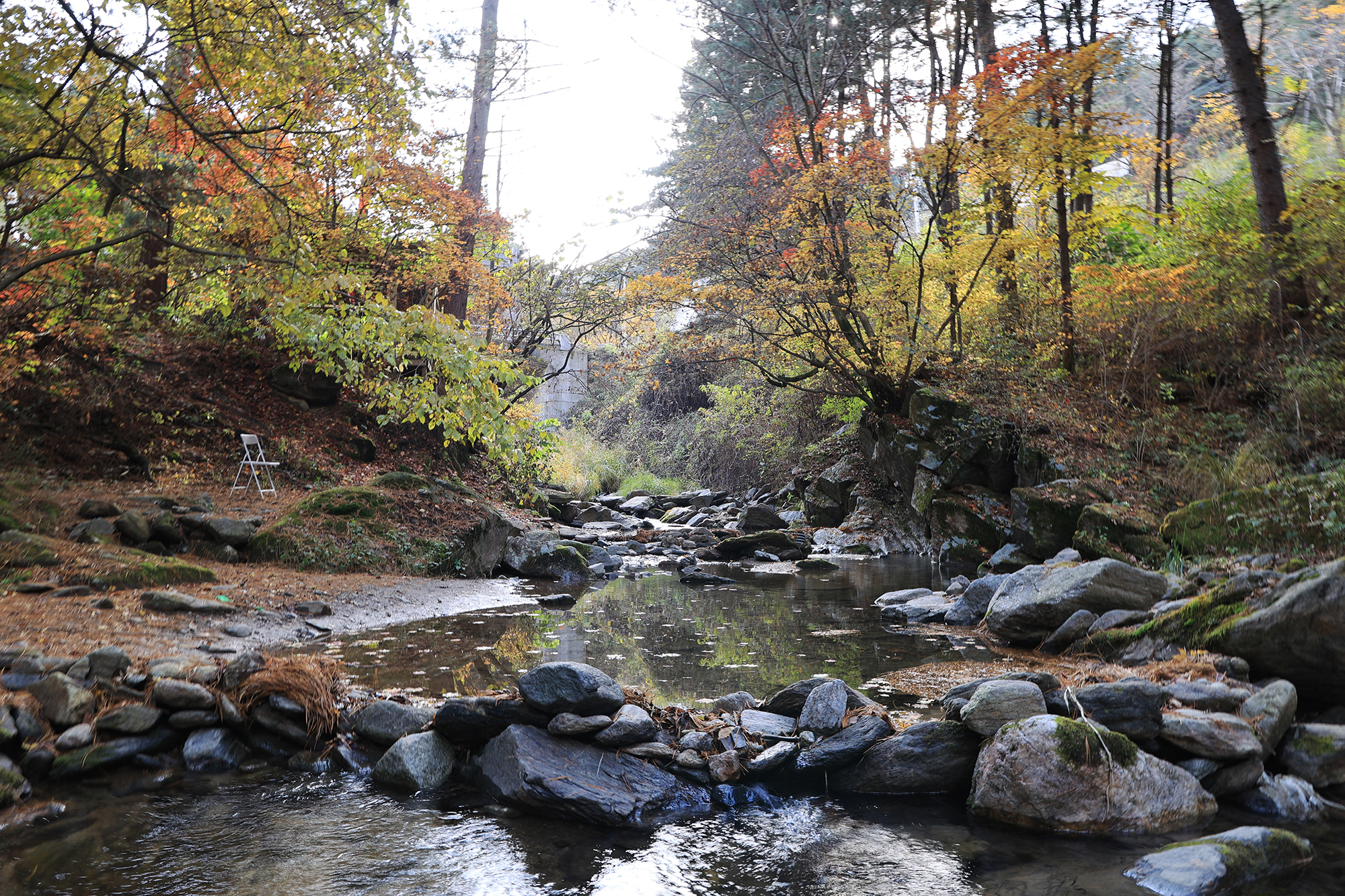 엉클킴스 캠핑장 이미지