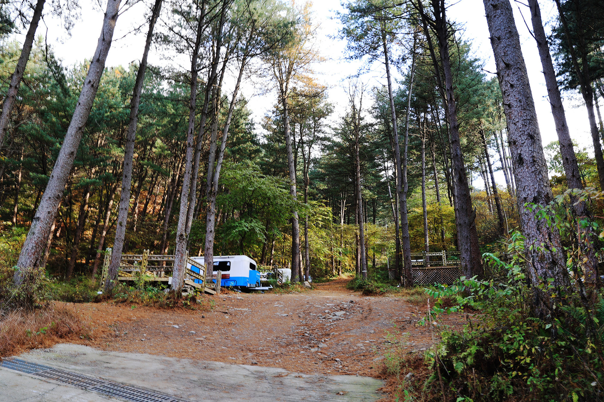 엉클킴스 캠핑장 이미지