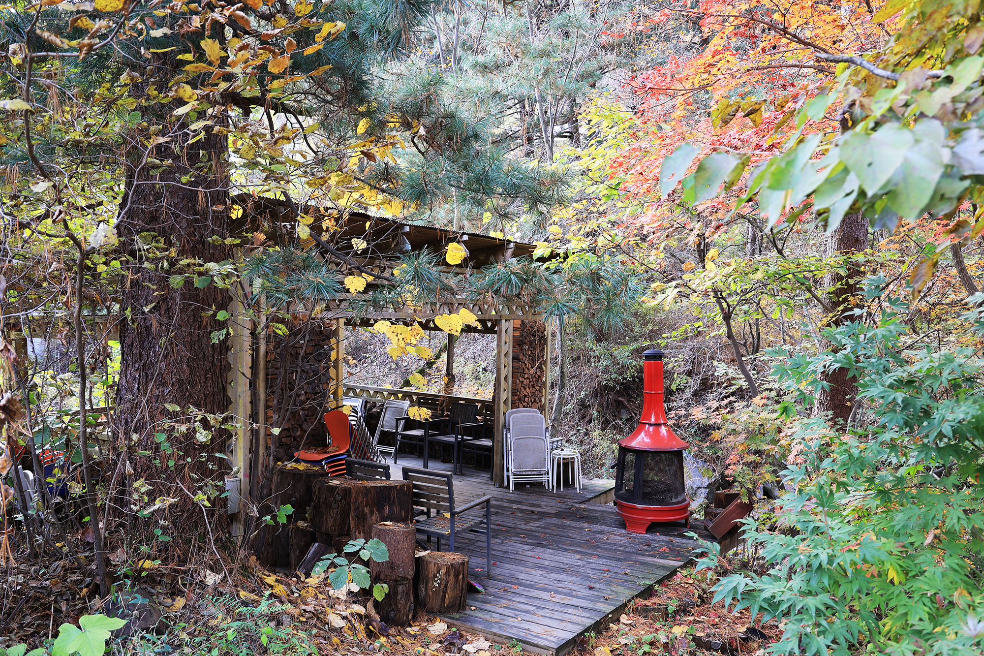 엉클킴스 캠핑장 이미지