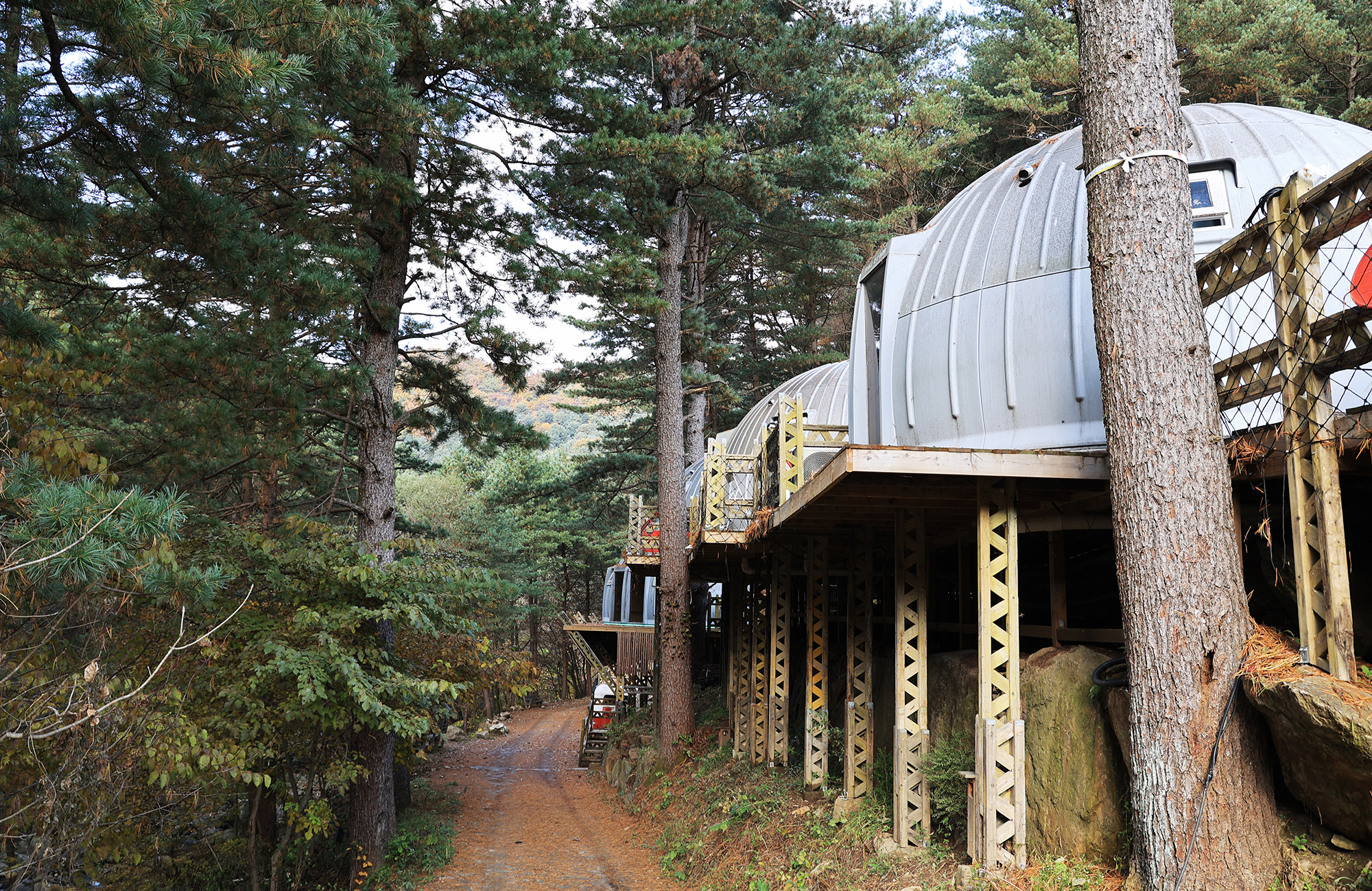 엉클킴스 캠핑장 이미지