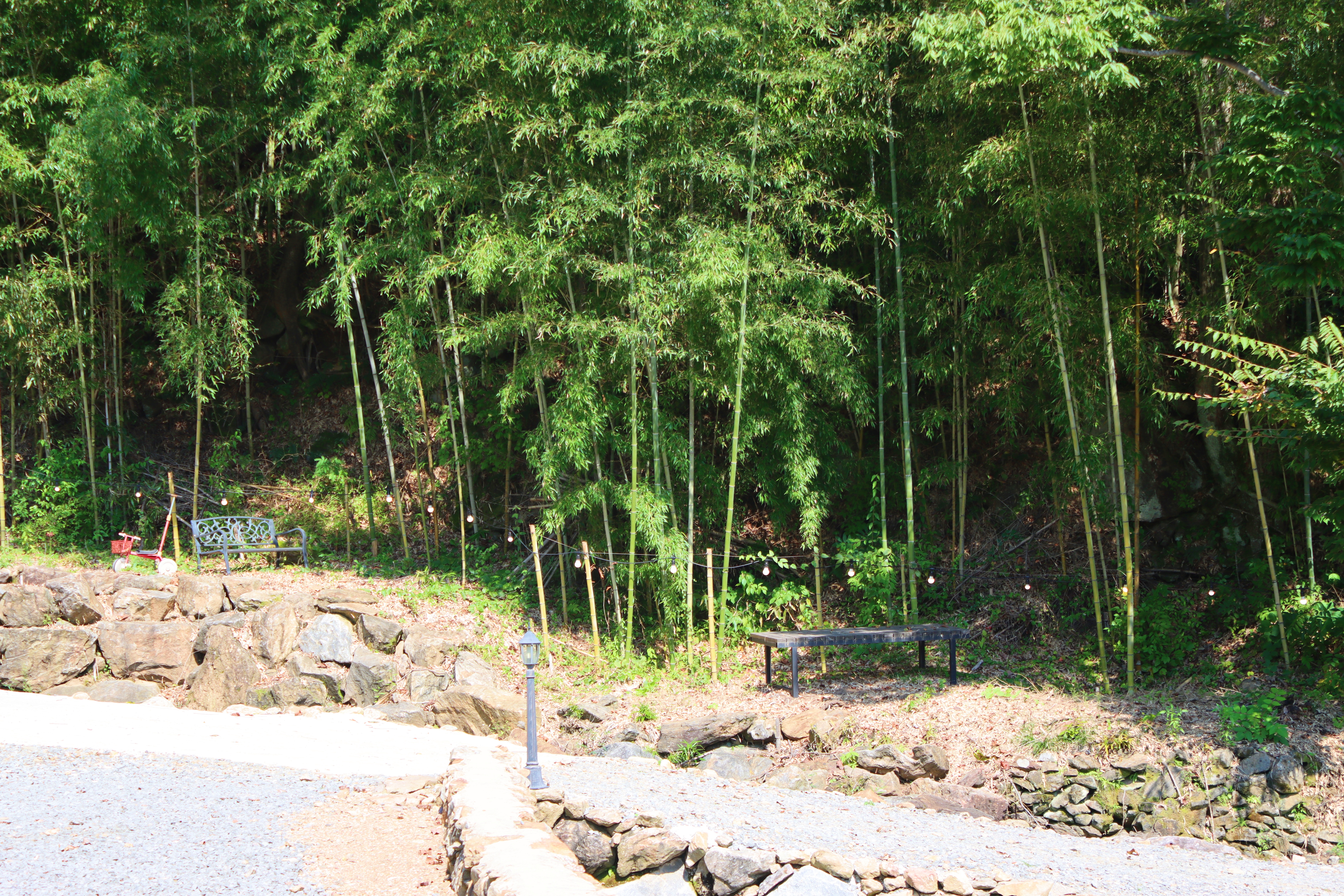 곡성달빛 야영장 29번째 이미지