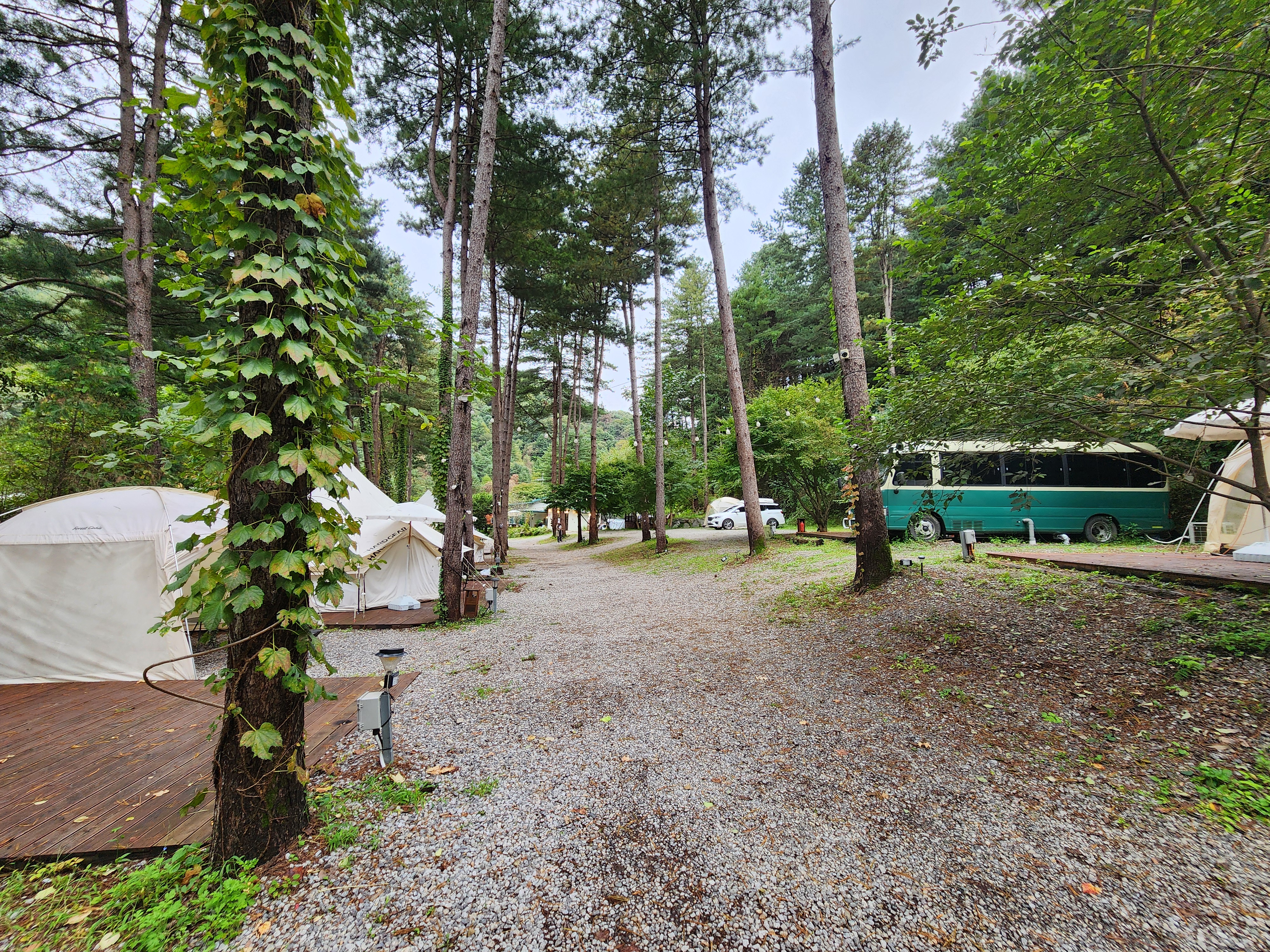 리틀 포레스트 캠핑 27번째 이미지