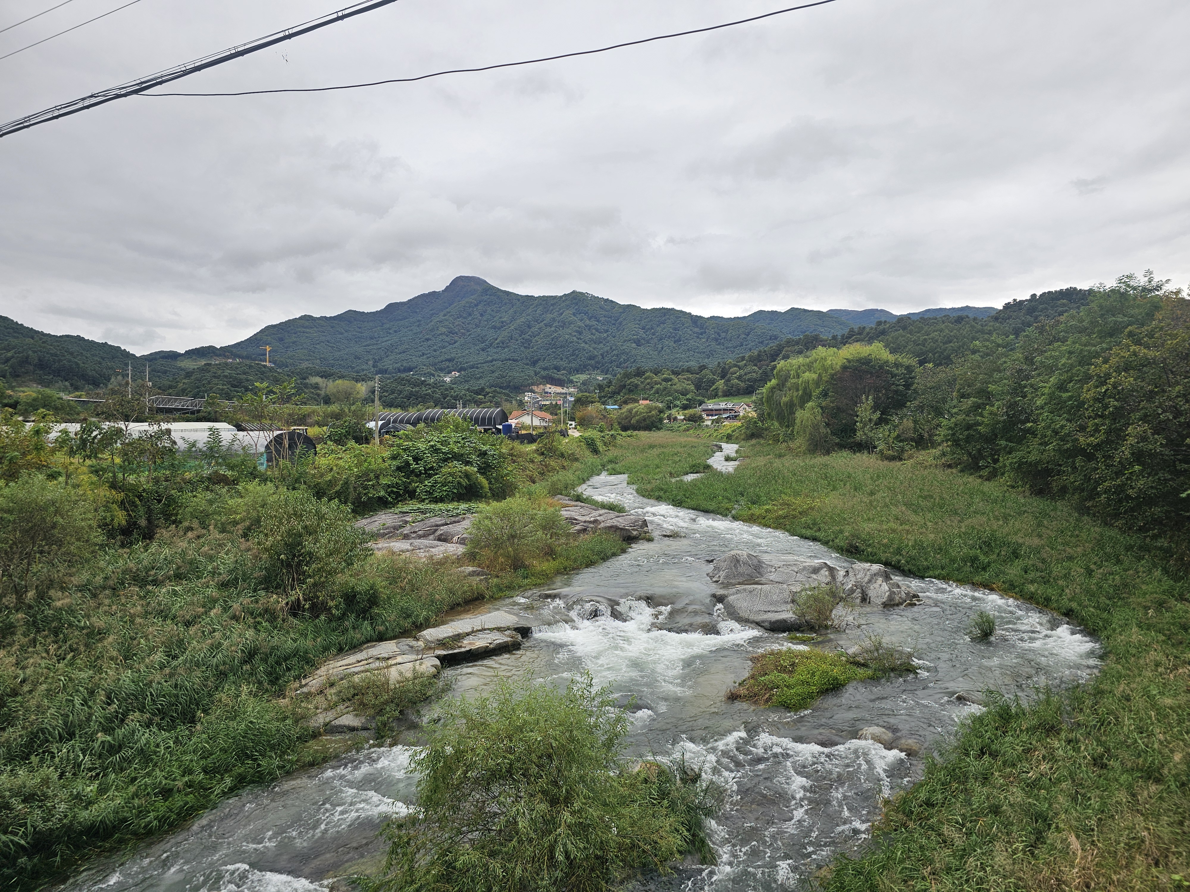리틀 포레스트 캠핑 11번째 이미지