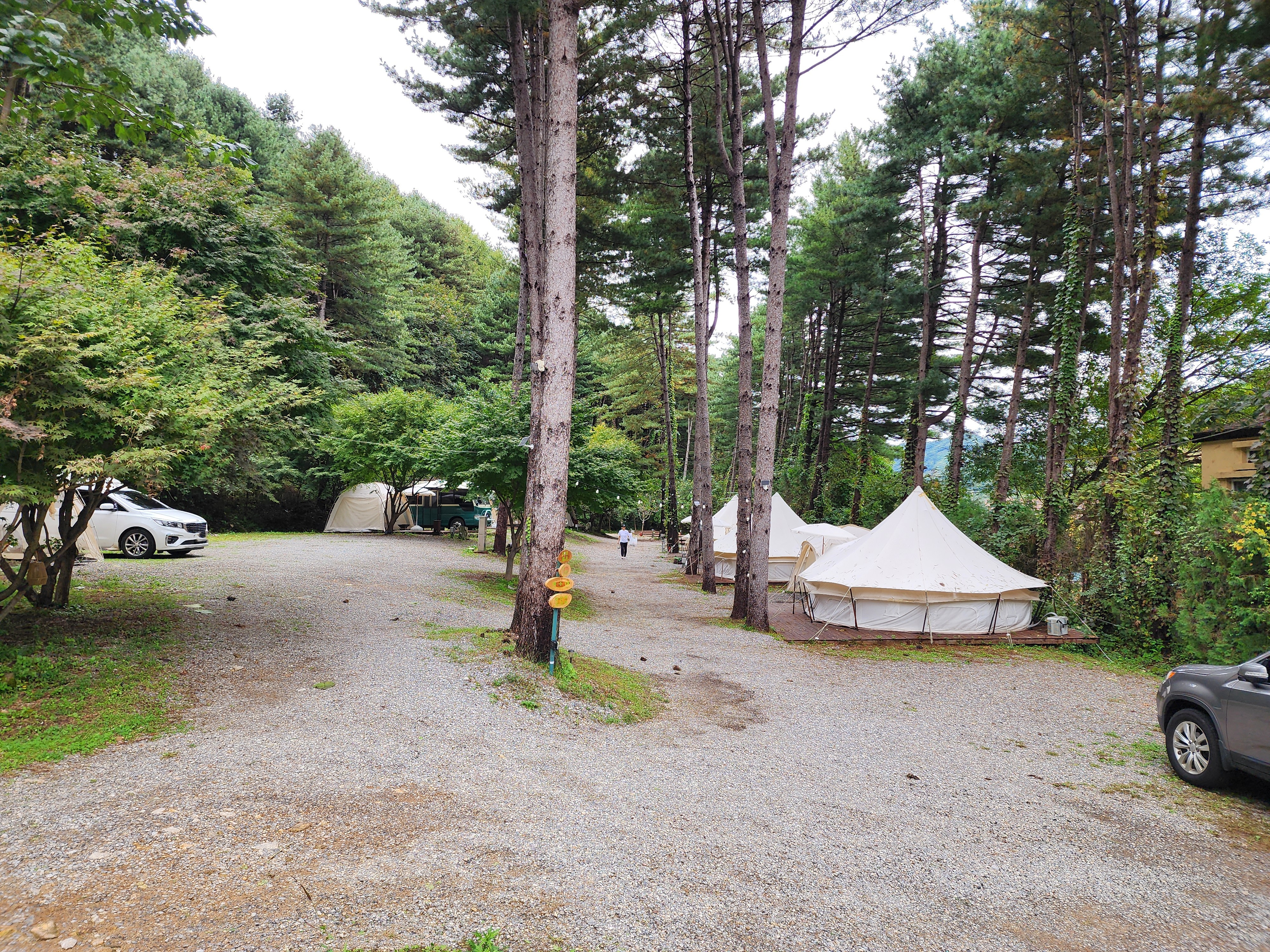 리틀 포레스트 캠핑 19번째 이미지