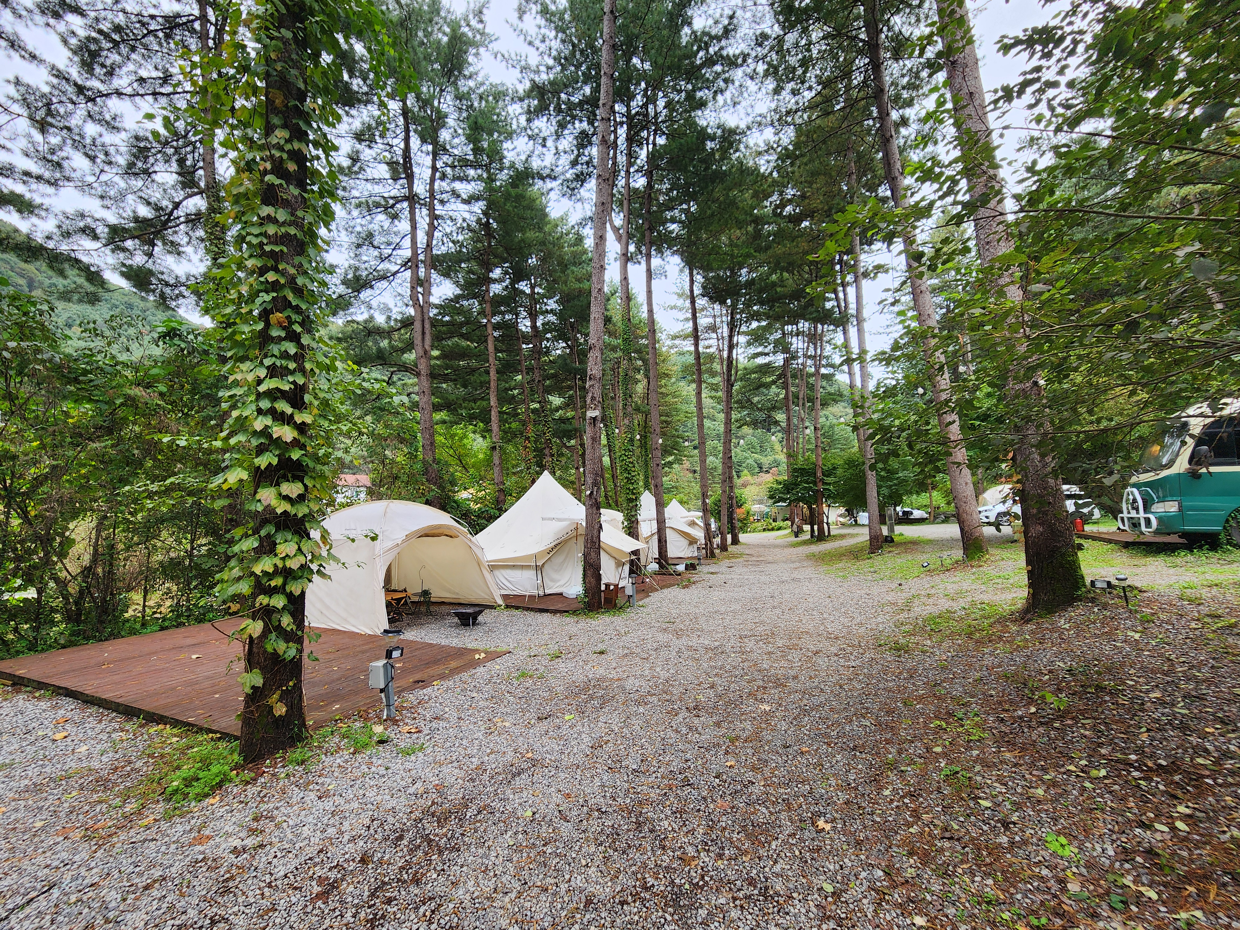 리틀 포레스트 캠핑 28번째 이미지