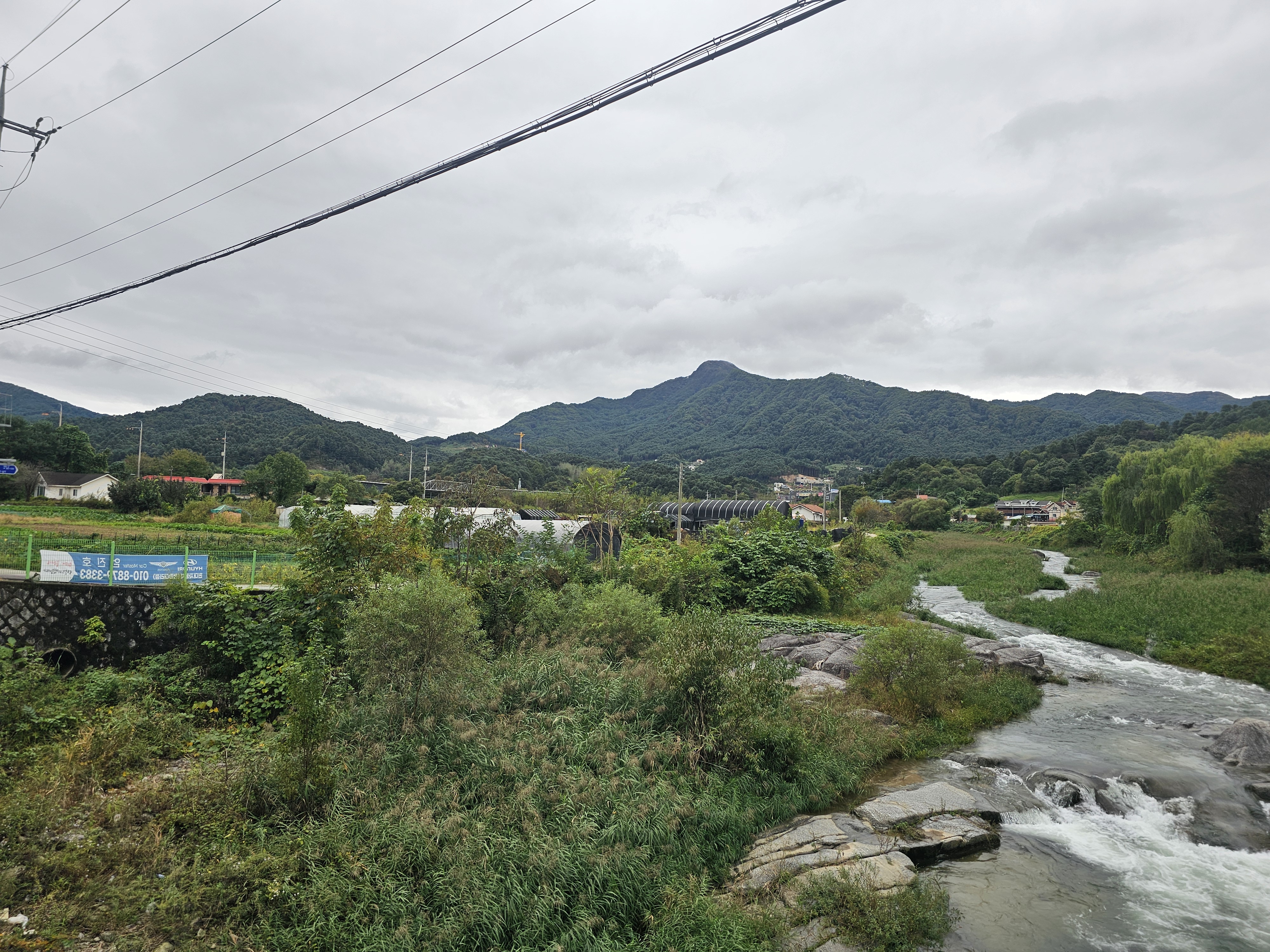 리틀 포레스트 캠핑 10번째 이미지