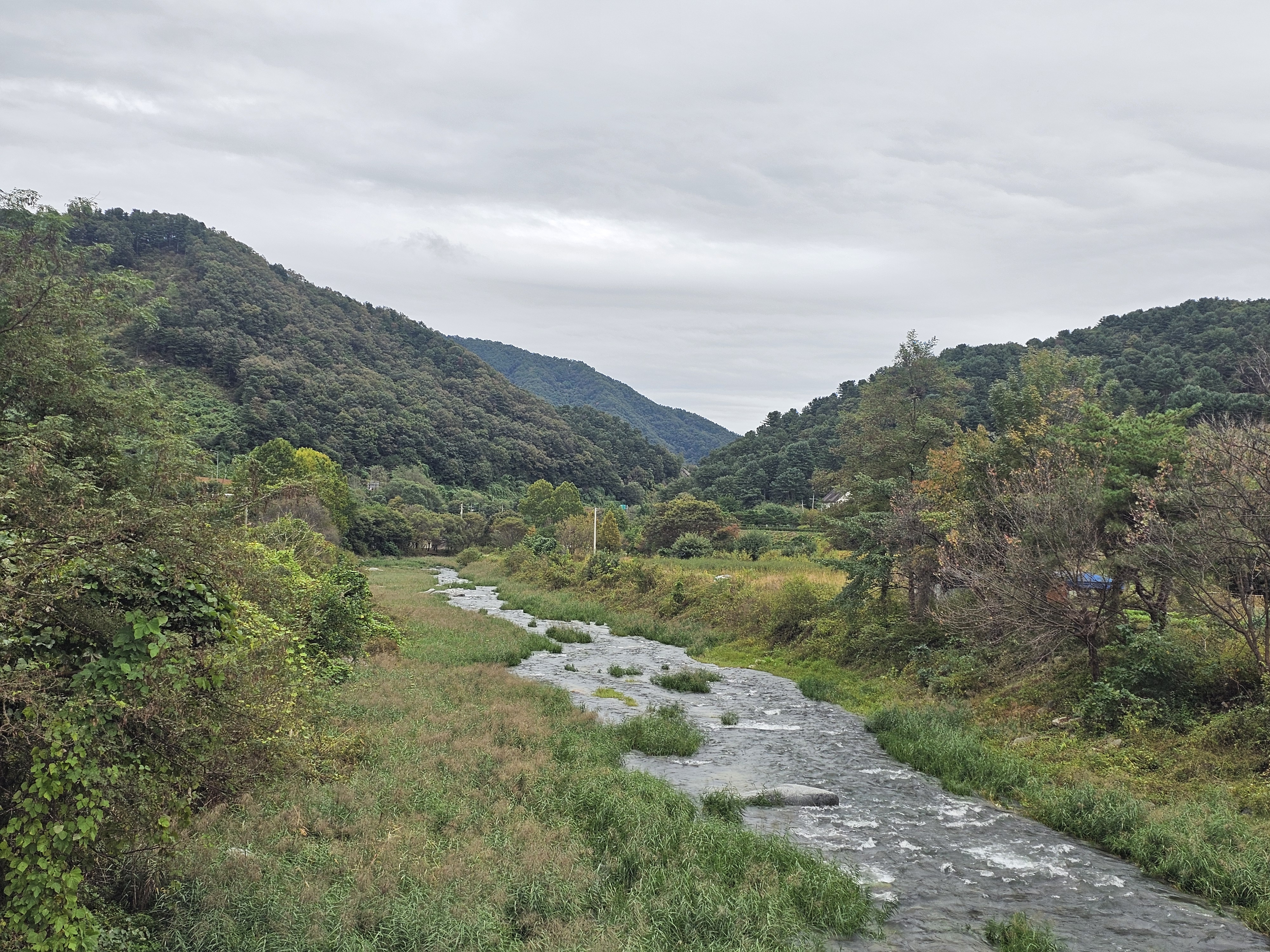 리틀 포레스트 캠핑 12번째 이미지