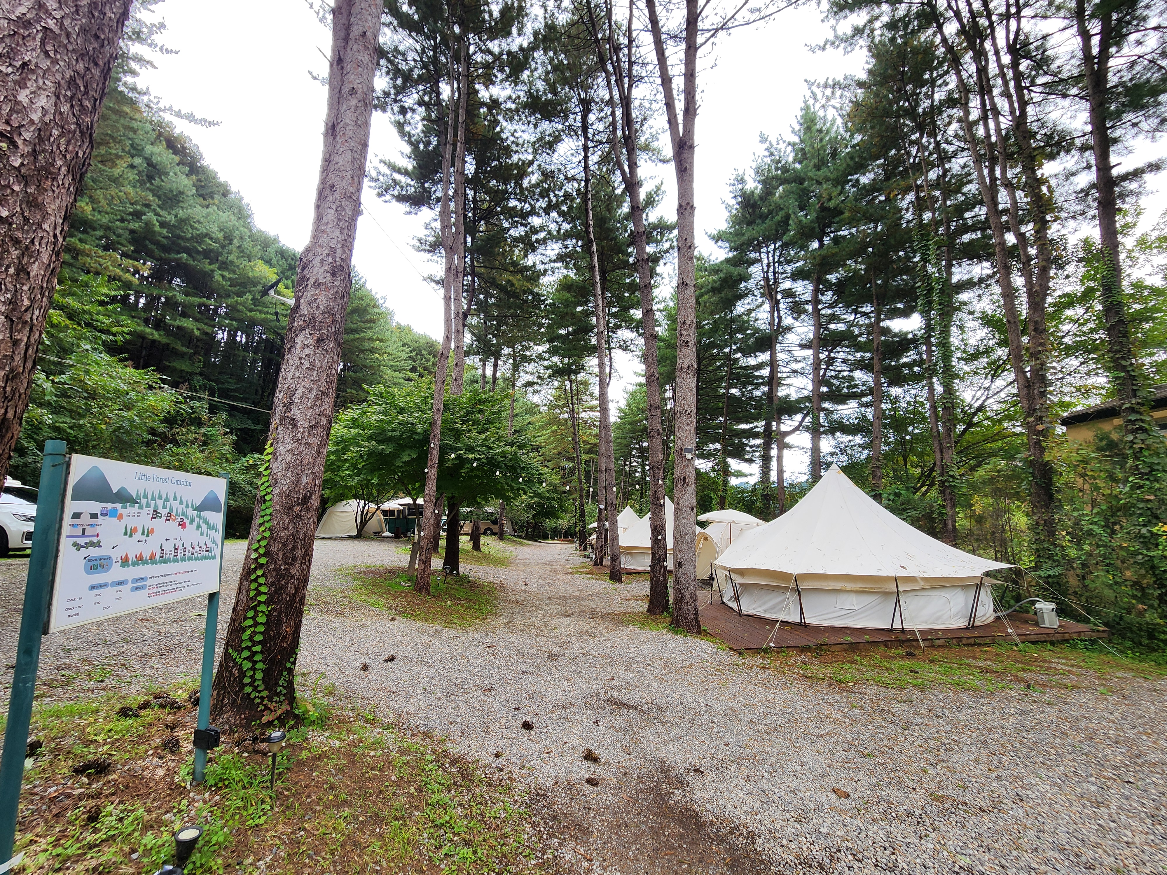 리틀 포레스트 캠핑 20번째 이미지