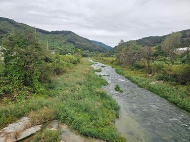 리틀 포레스트 캠핑 사진