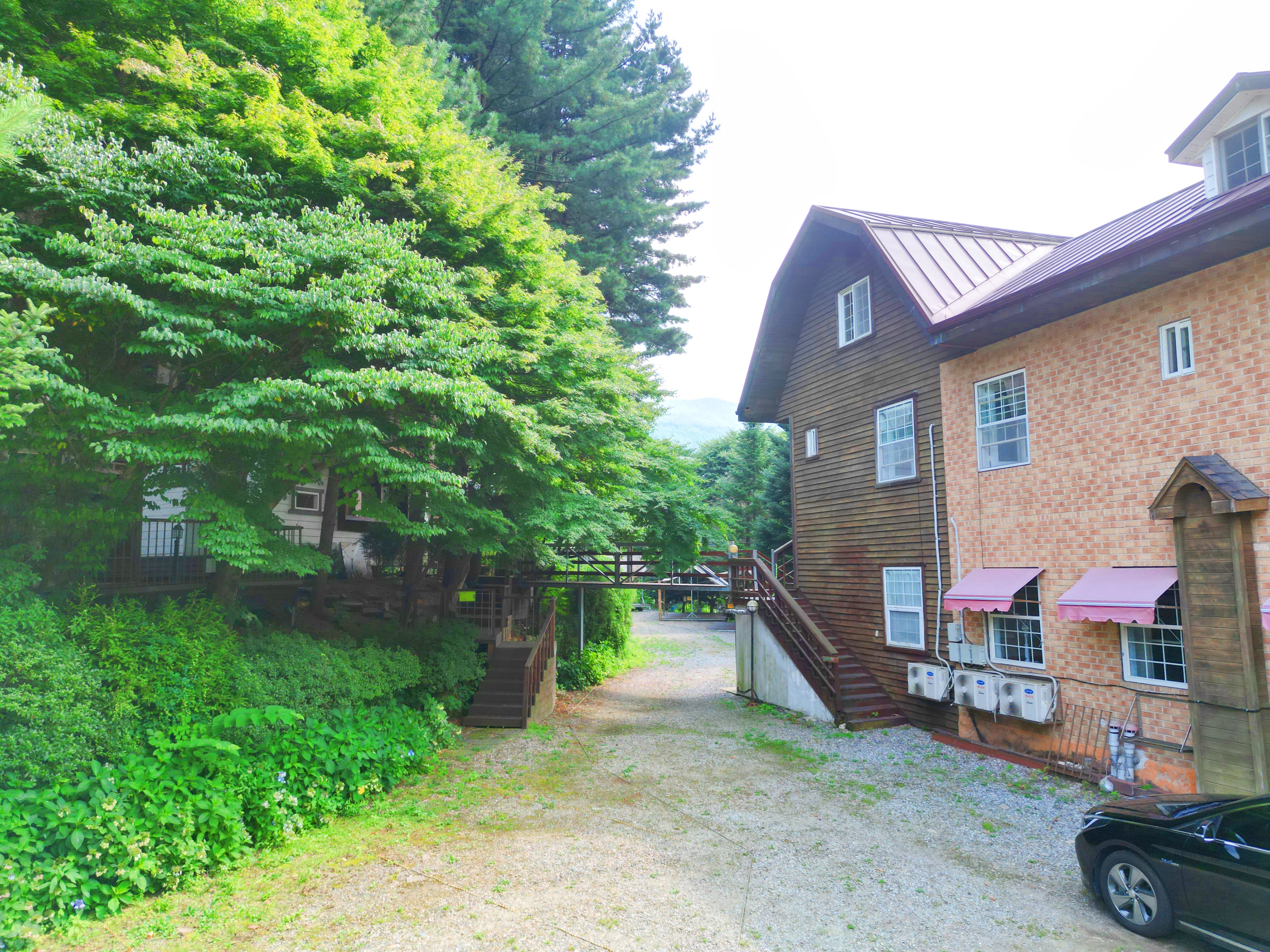 유명산 258 이미지