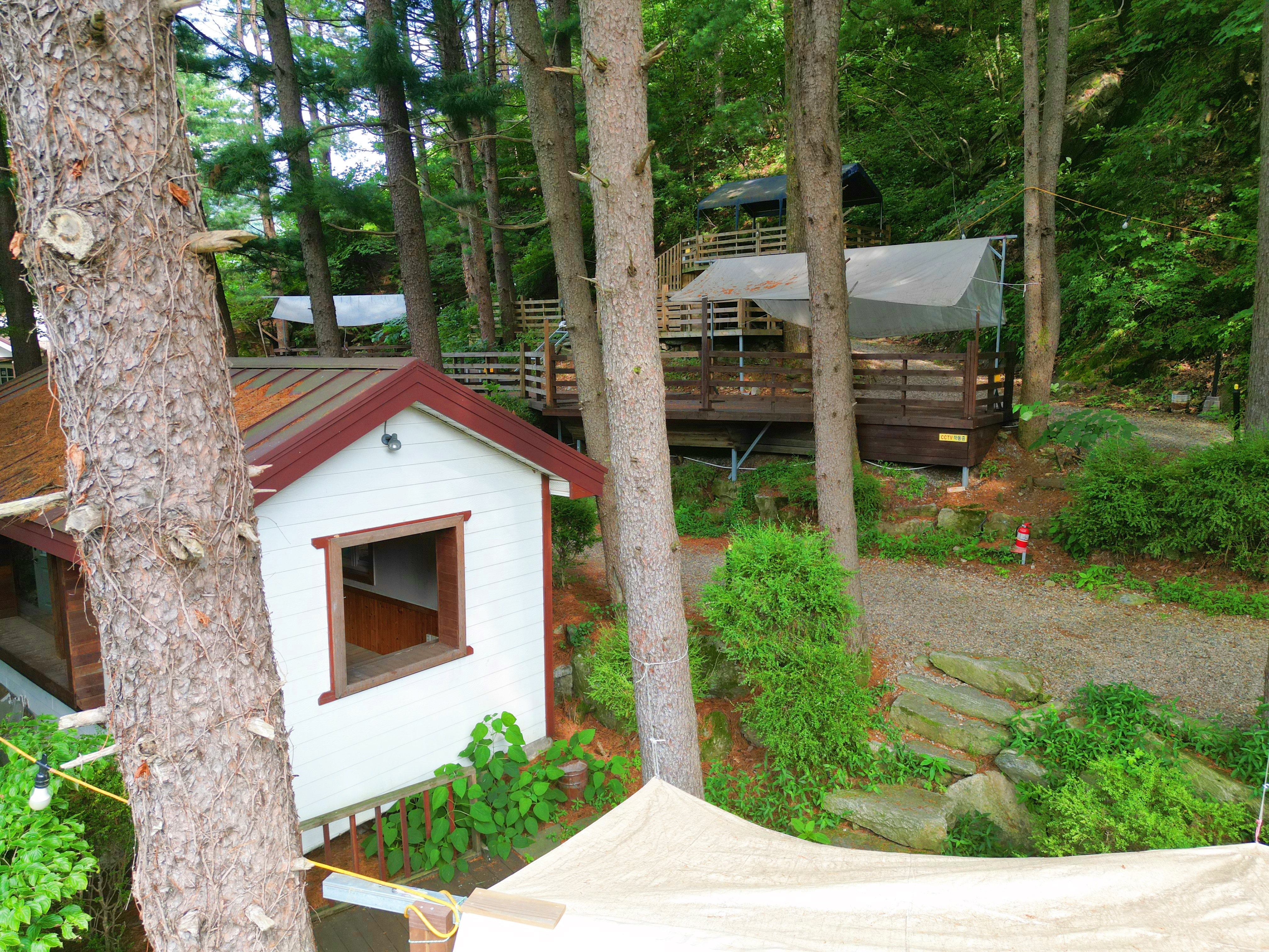 유명산 258 이미지