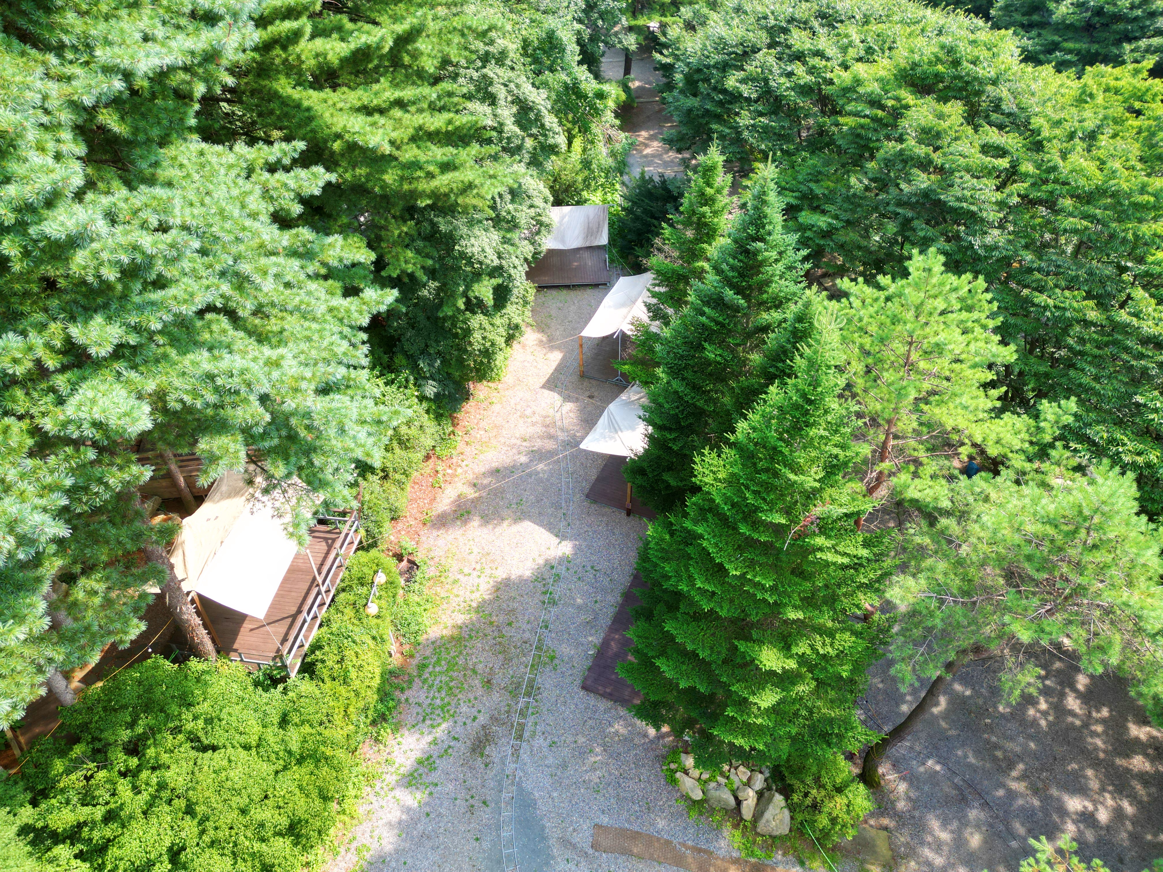 유명산 258 이미지