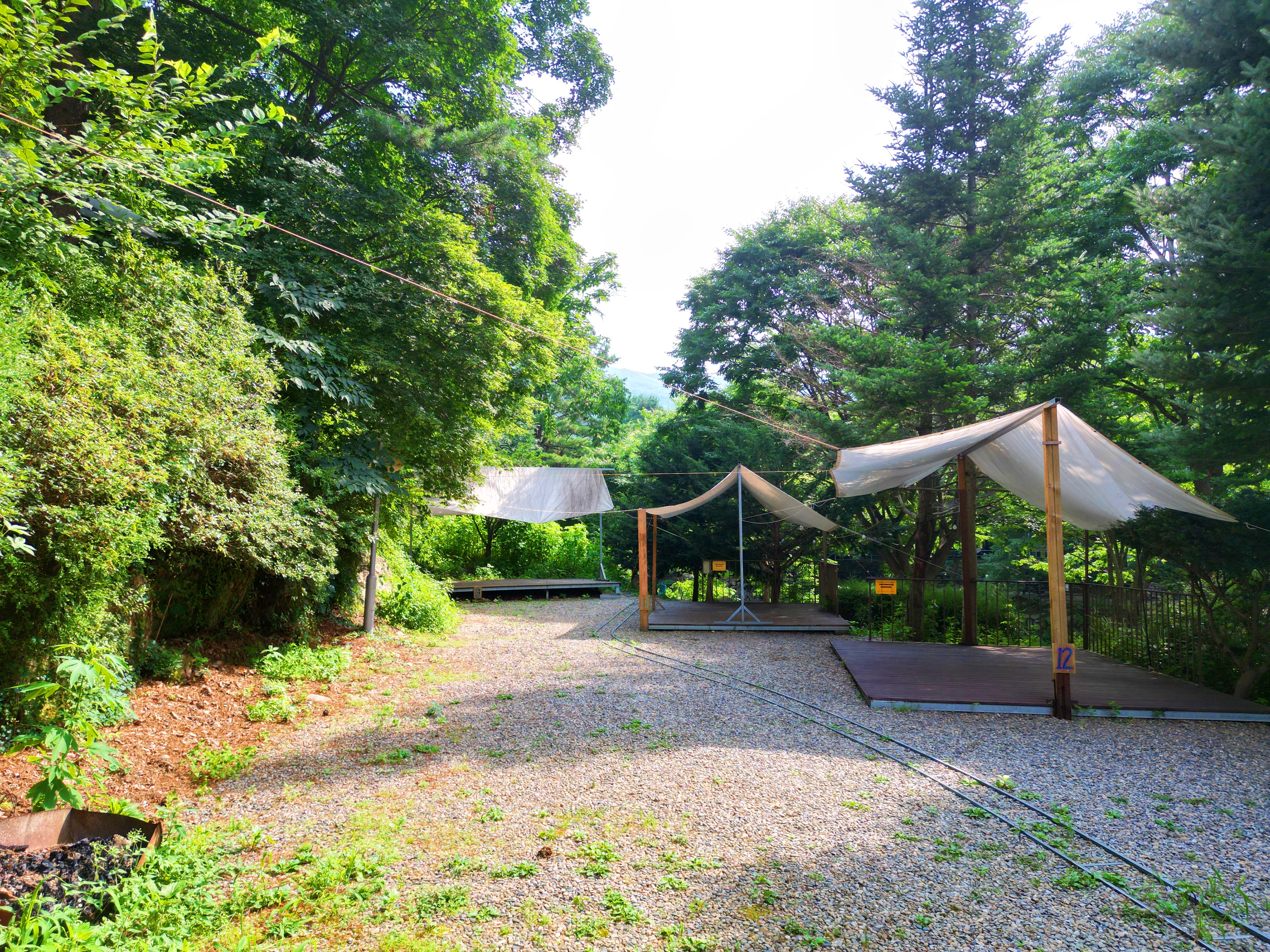 유명산 258 이미지