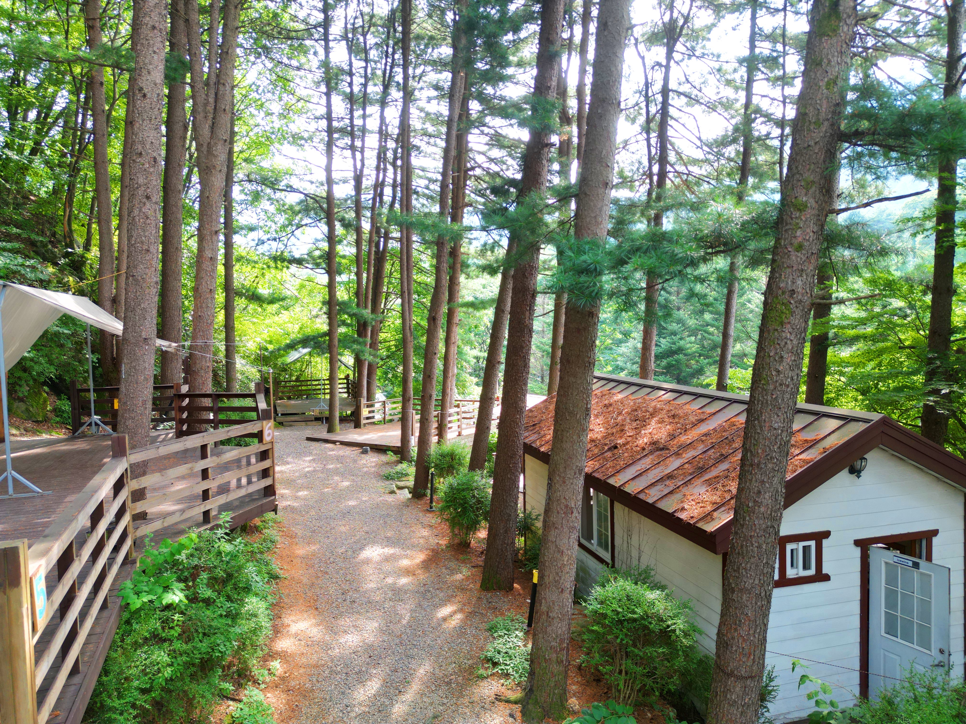 유명산 258 이미지