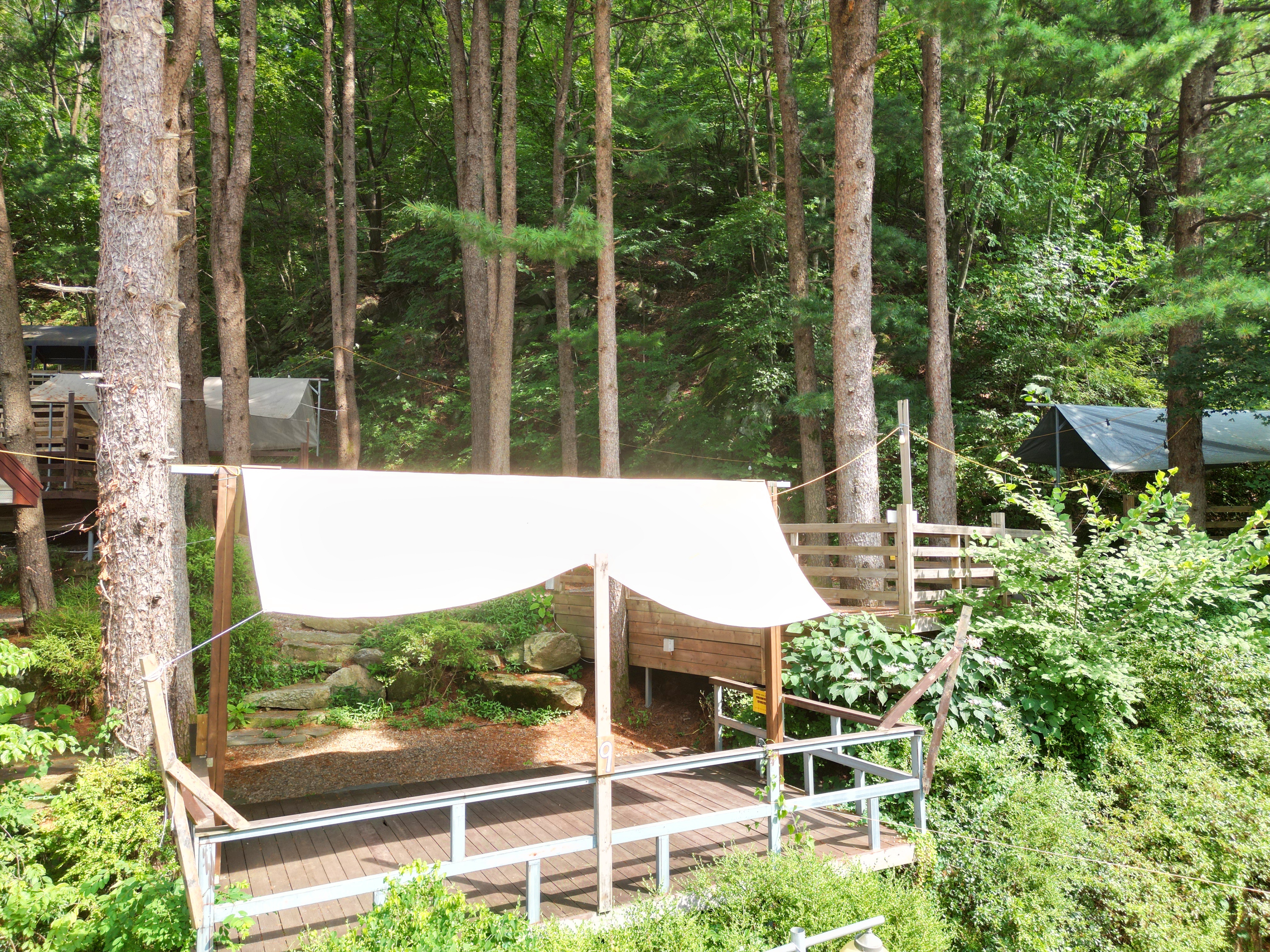 유명산 258 이미지