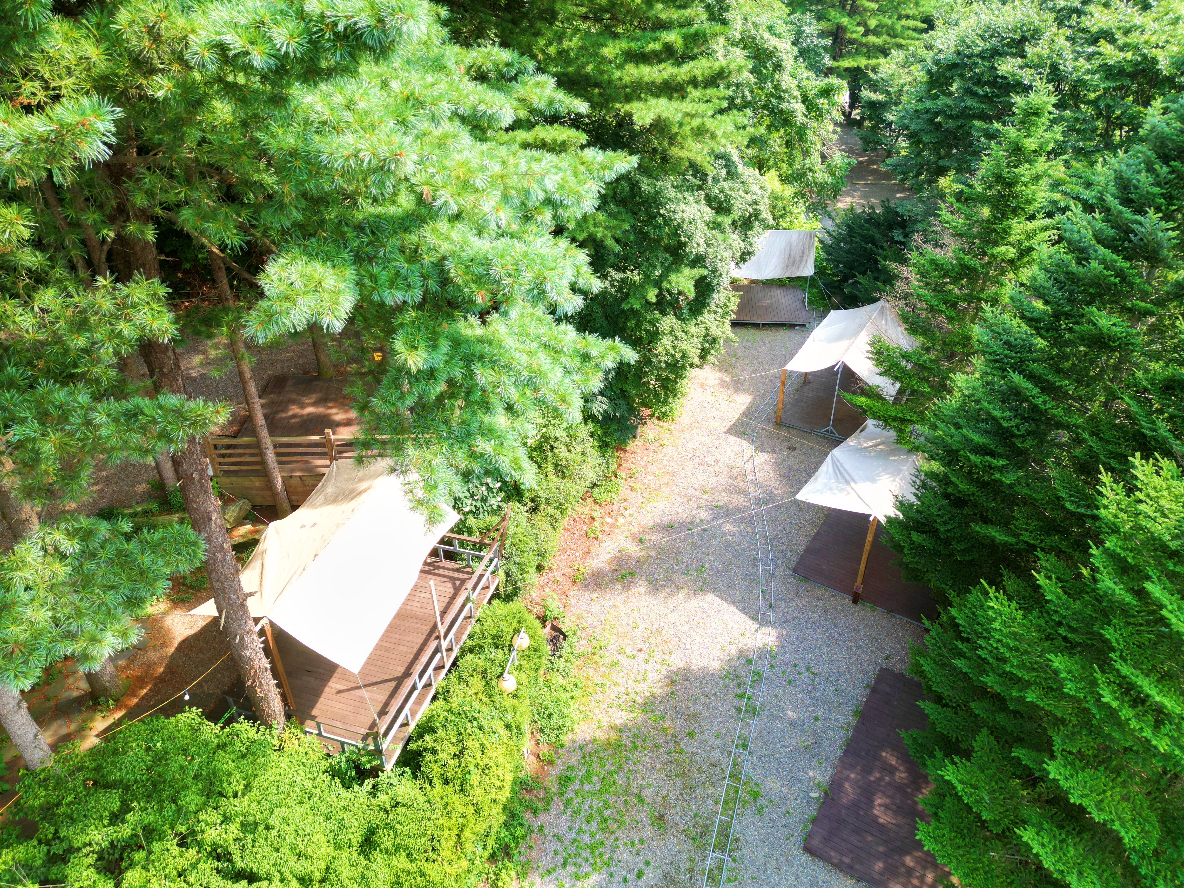 유명산 258 이미지