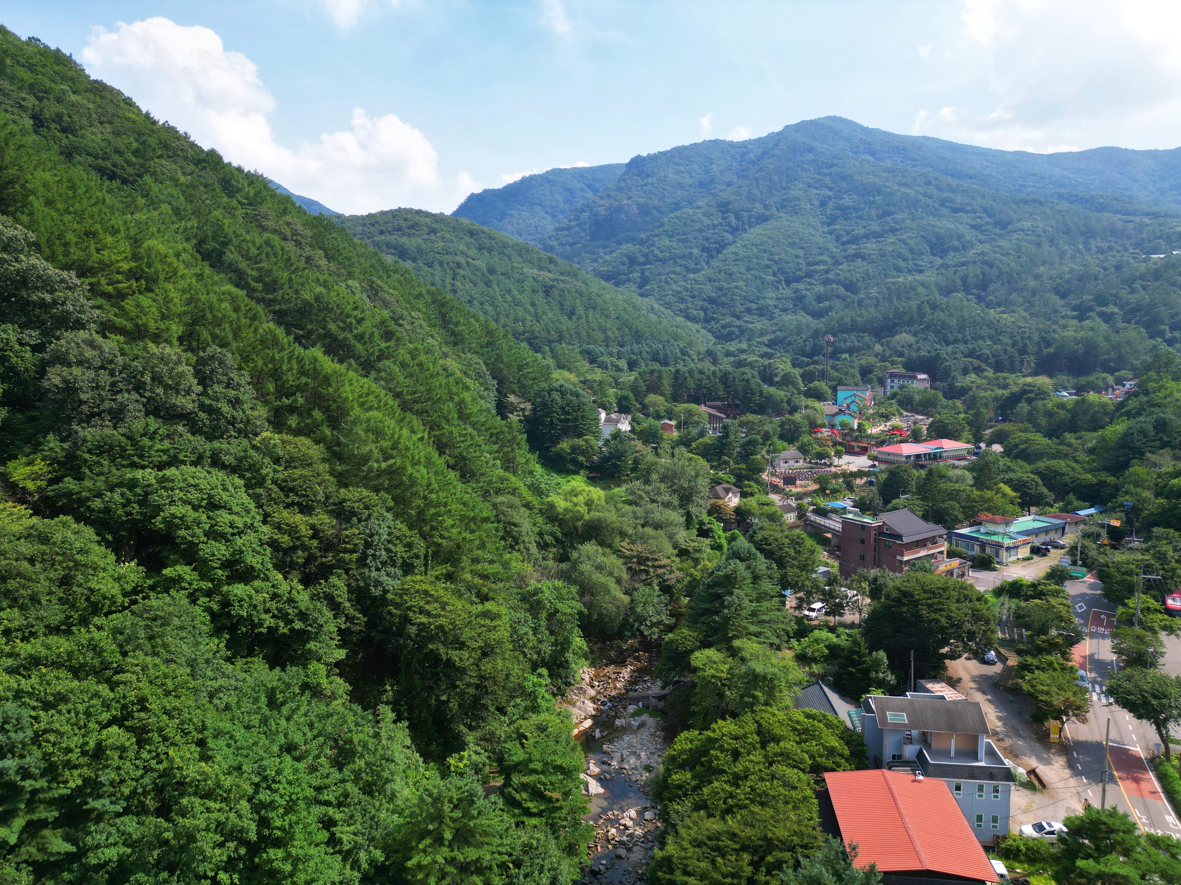 유명산 258 이미지