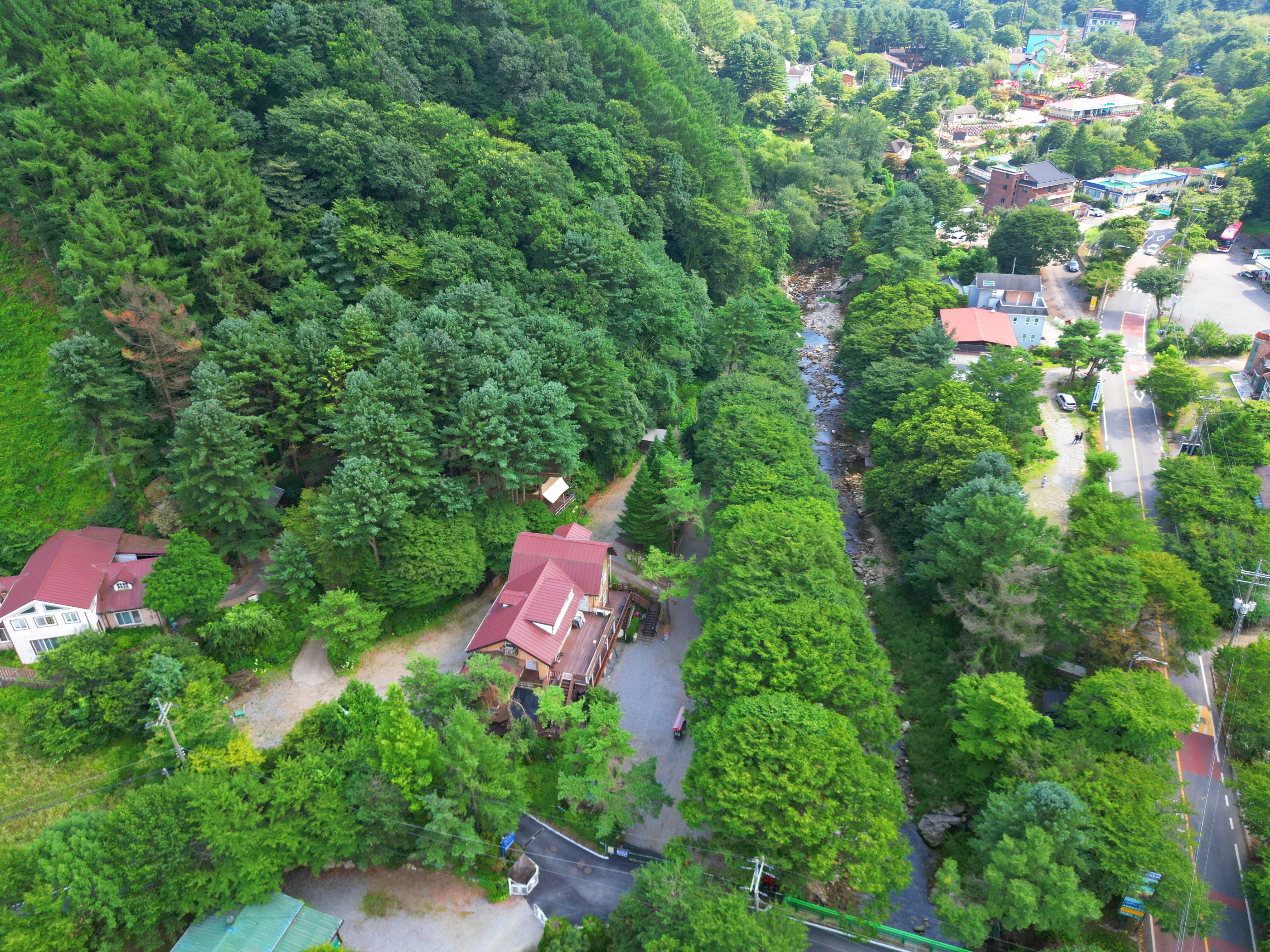 유명산 258 이미지