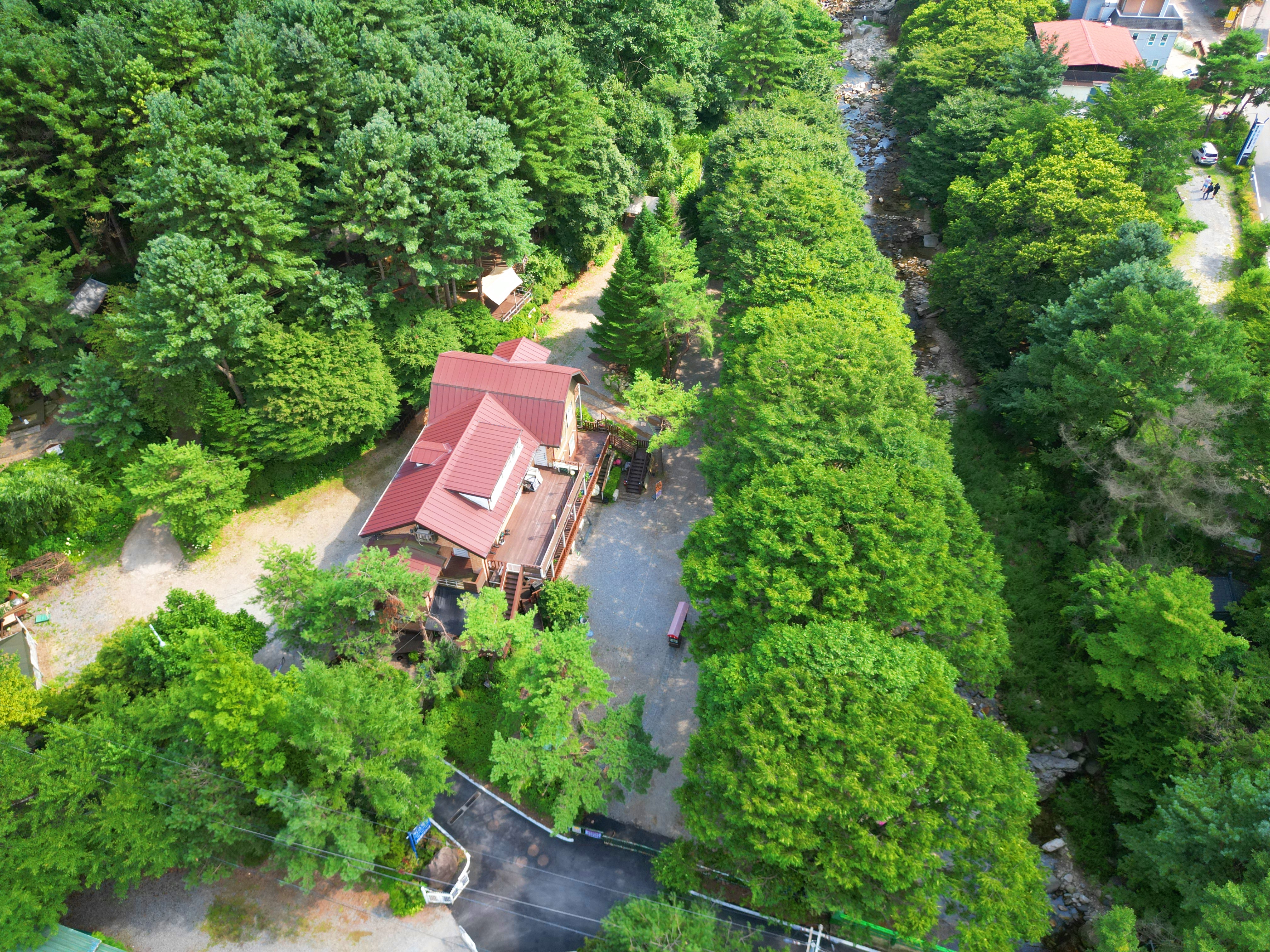 유명산 258 이미지