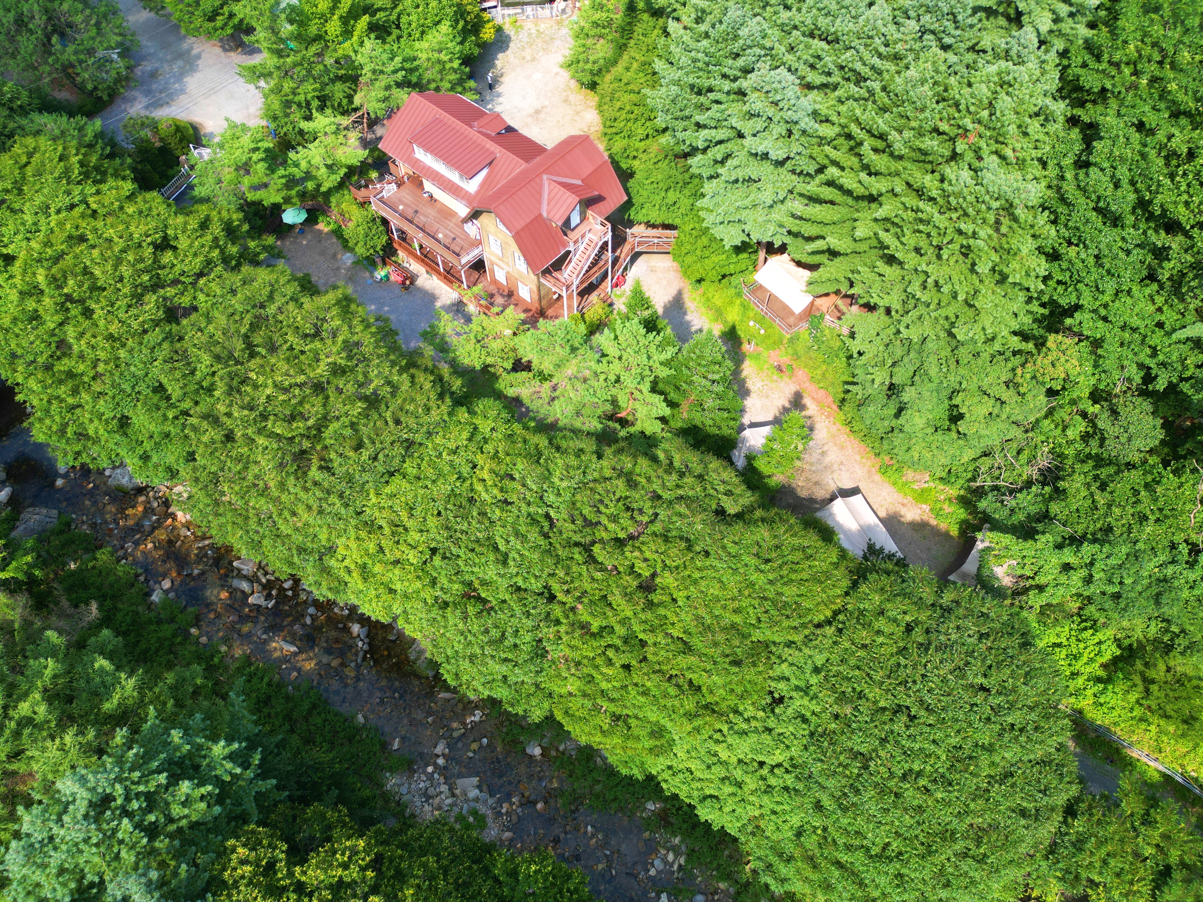 유명산 258 이미지