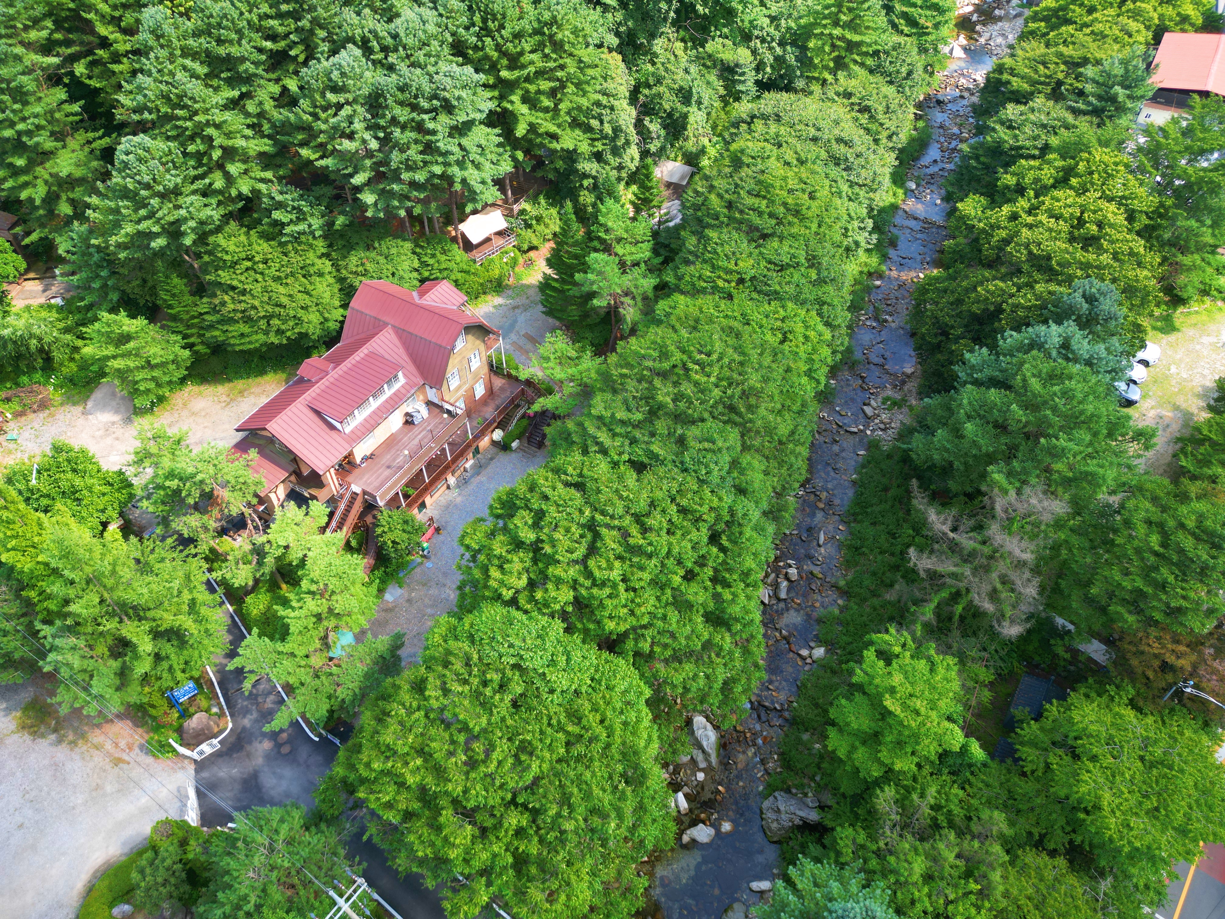 유명산 258 이미지