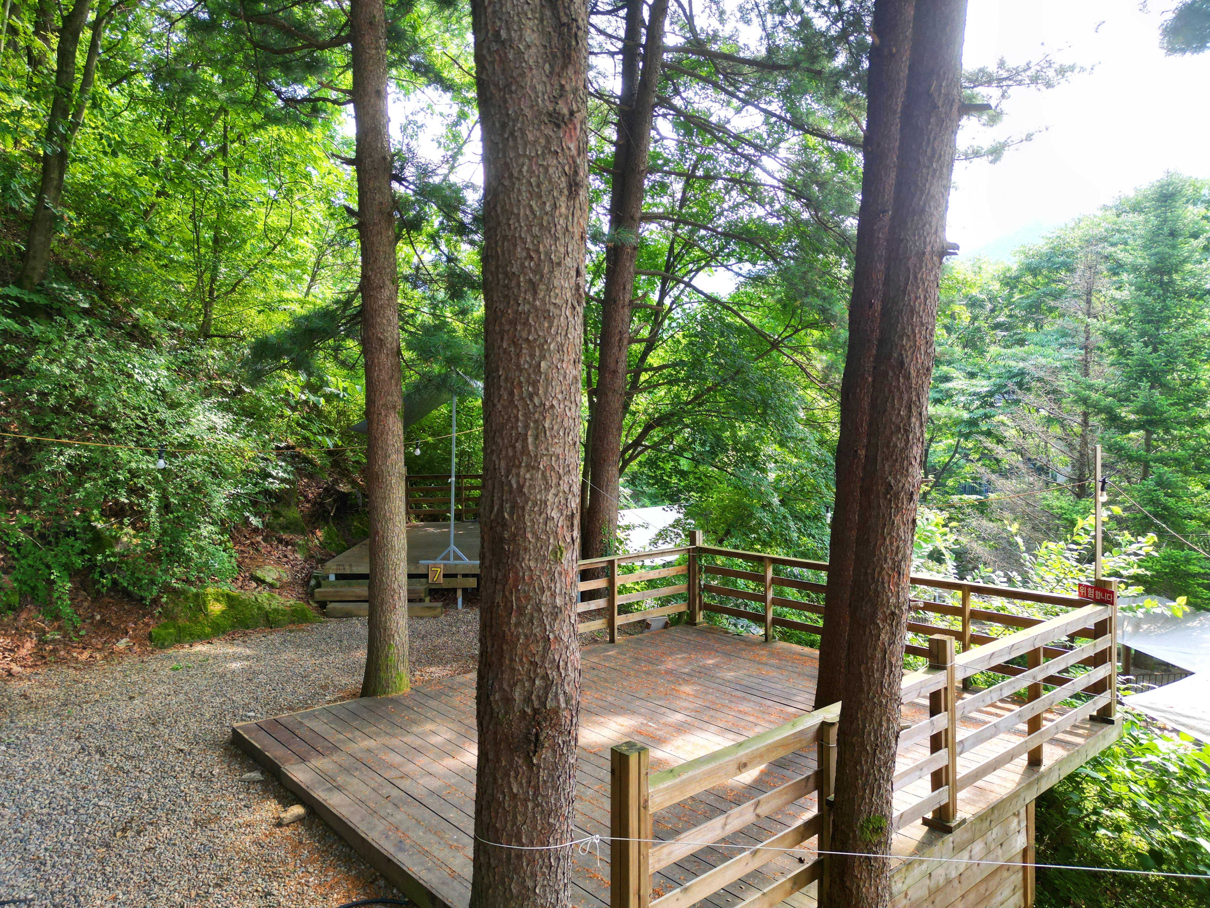 유명산 258 이미지