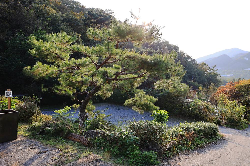 리앤업파크타운