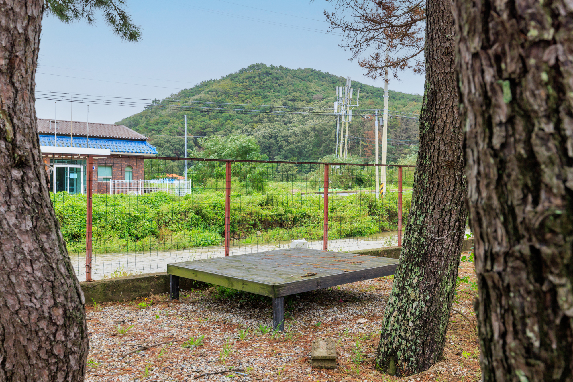 펜캠2495체험학교 9번째 이미지