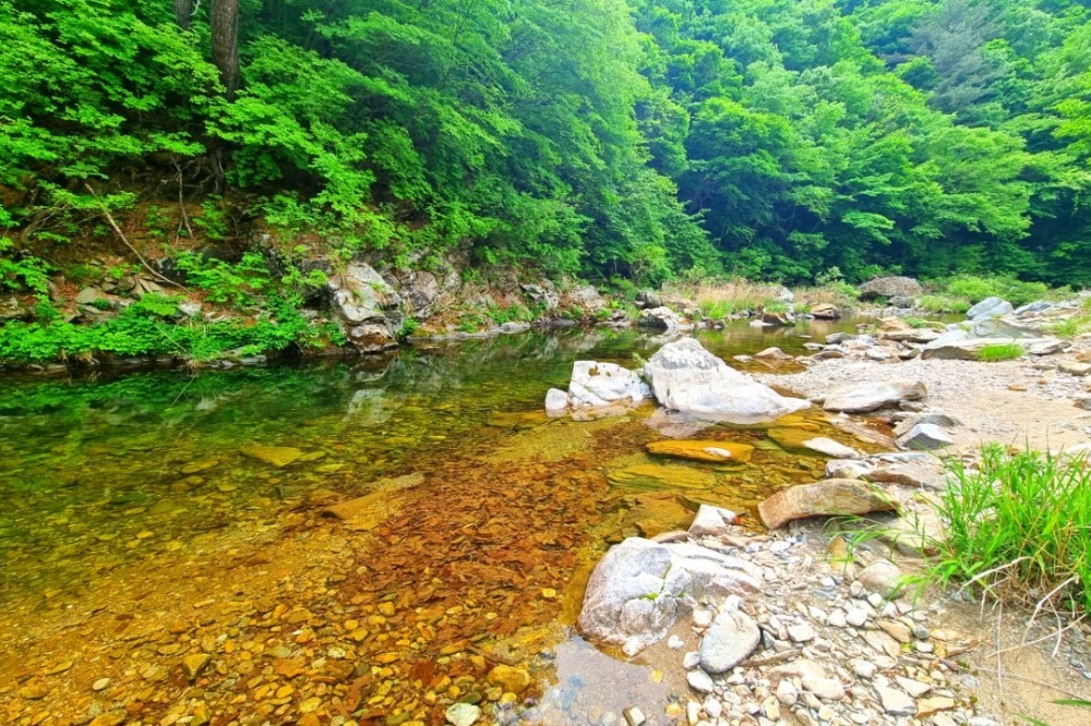 또바기캠핑장 45번째 이미지