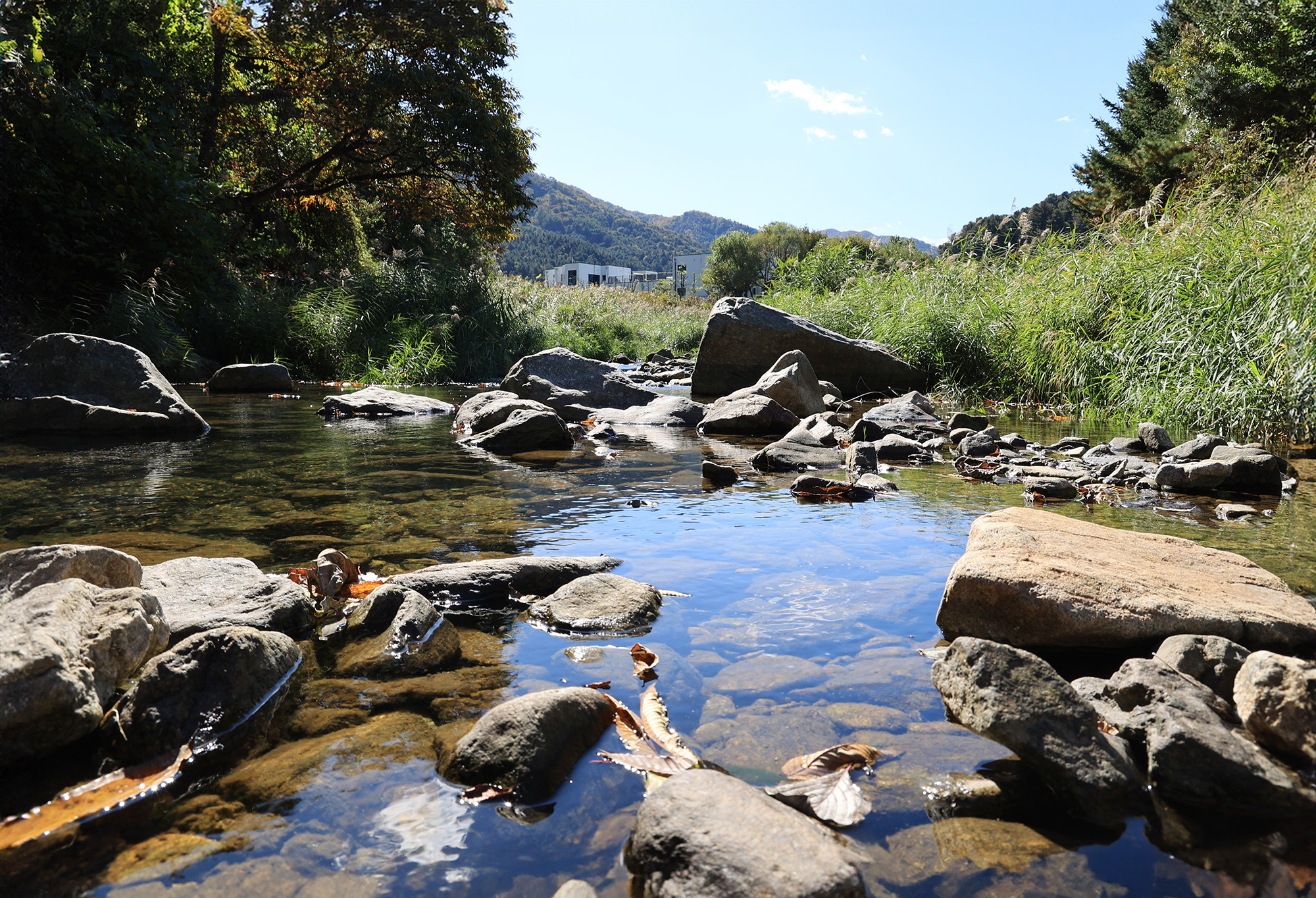 포도밸리 캠핑장 이미지
