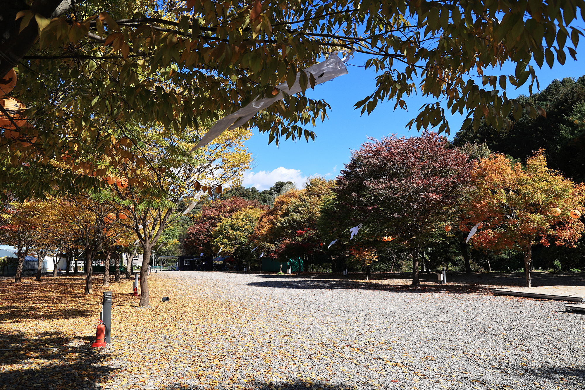 포도밸리 캠핑장 이미지