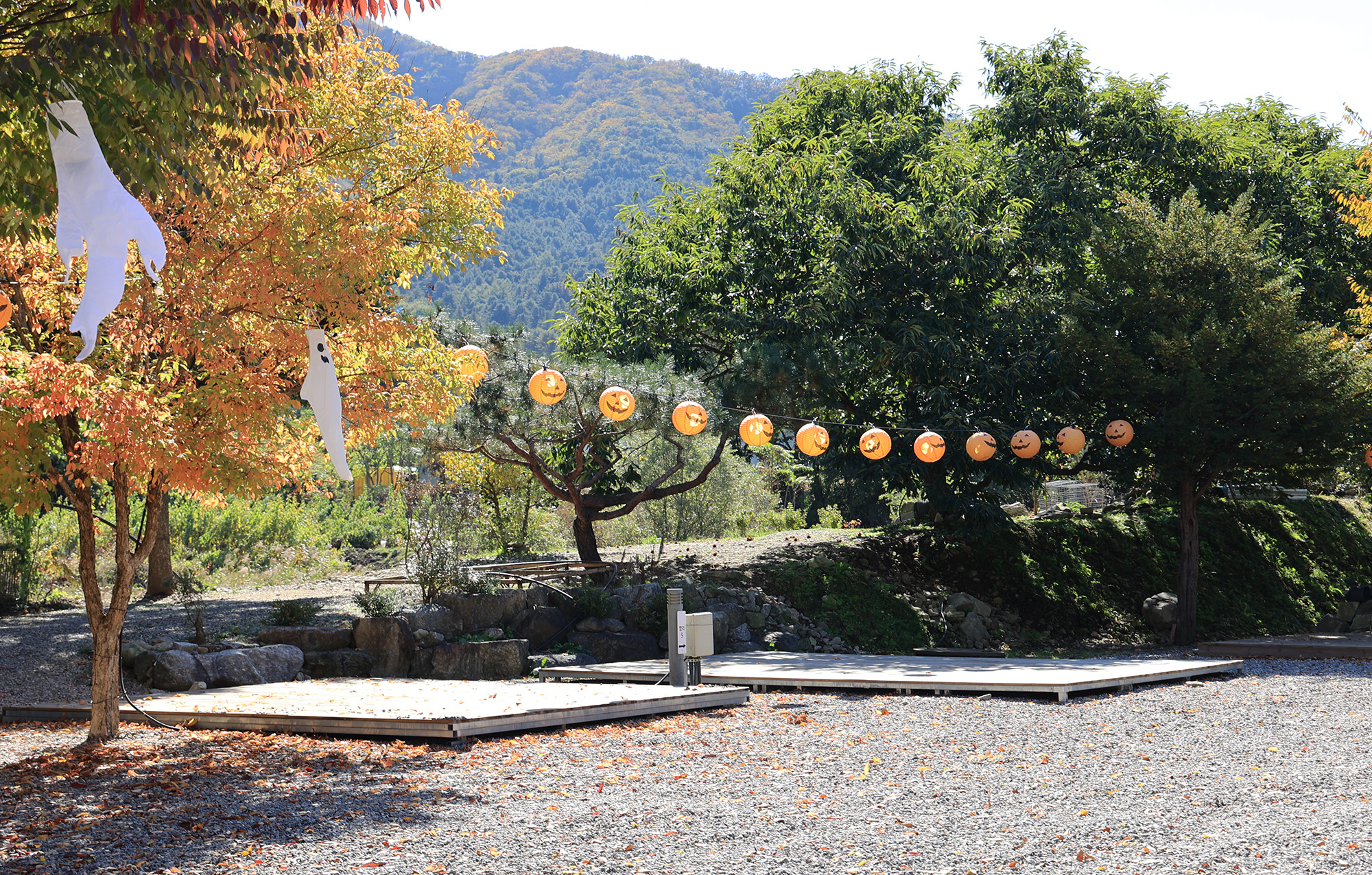 포도밸리 캠핑장 이미지