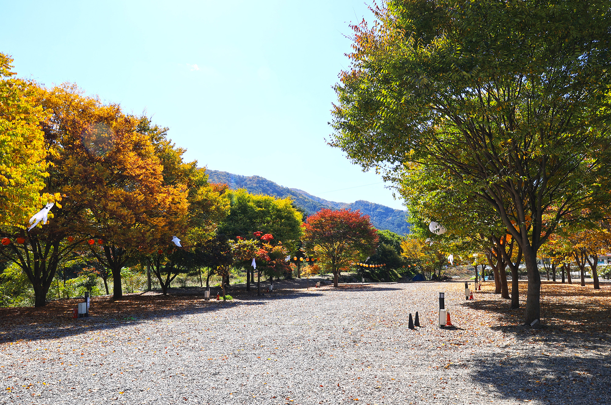 포도밸리 캠핑장 이미지