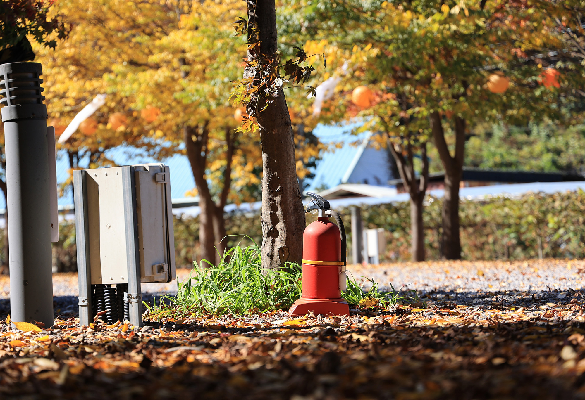 포도밸리 캠핑장 이미지