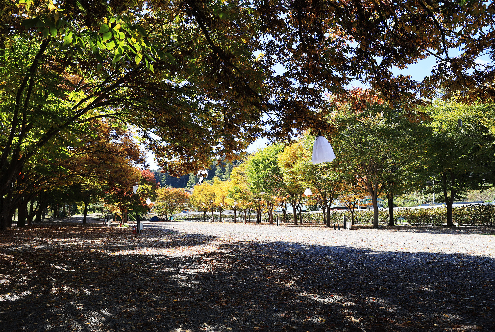 포도밸리 캠핑장 이미지