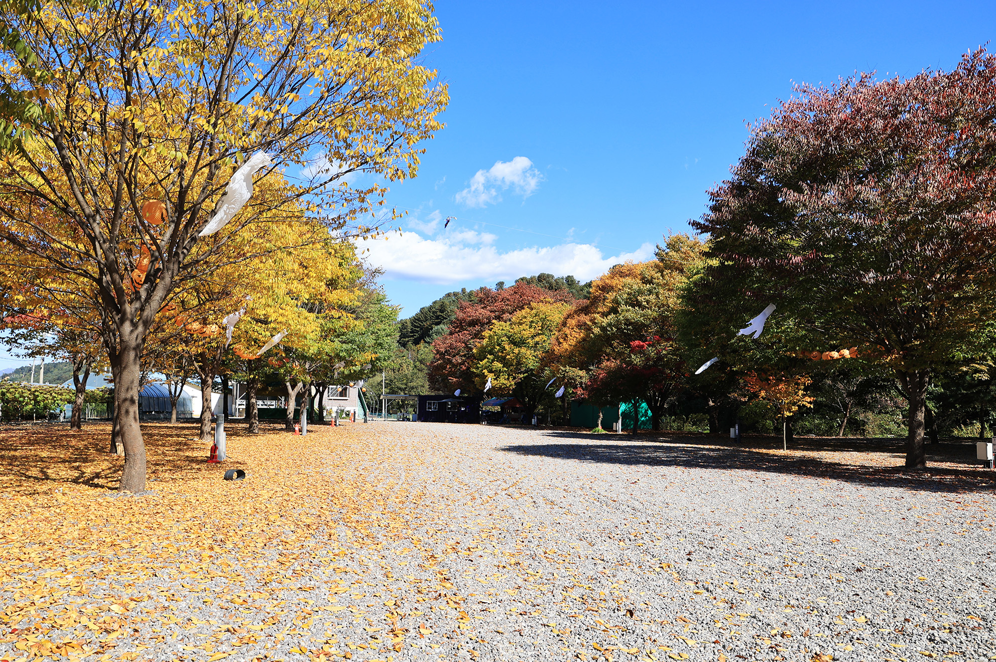 포도밸리 캠핑장 이미지