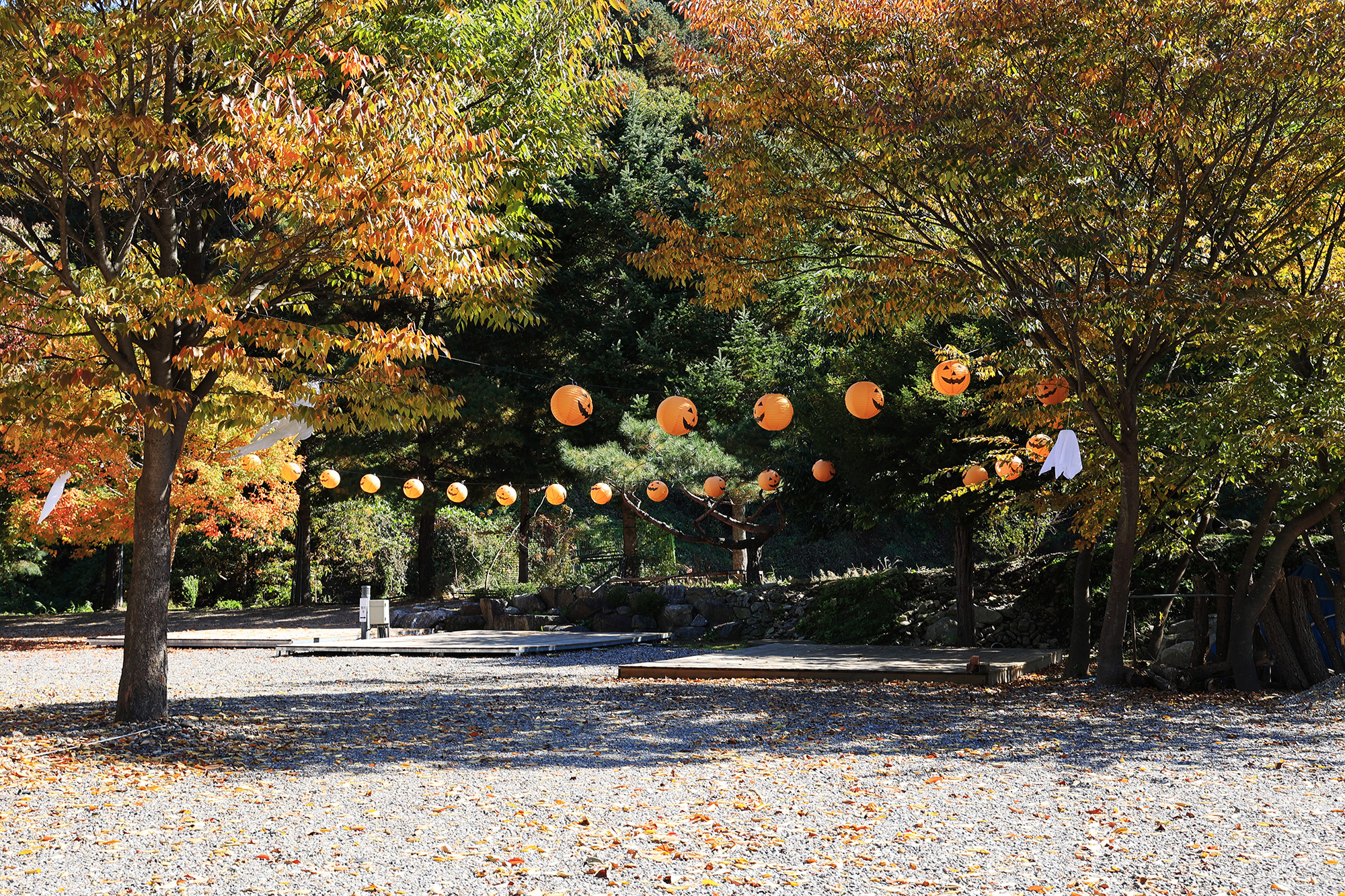 포도밸리 캠핑장 이미지