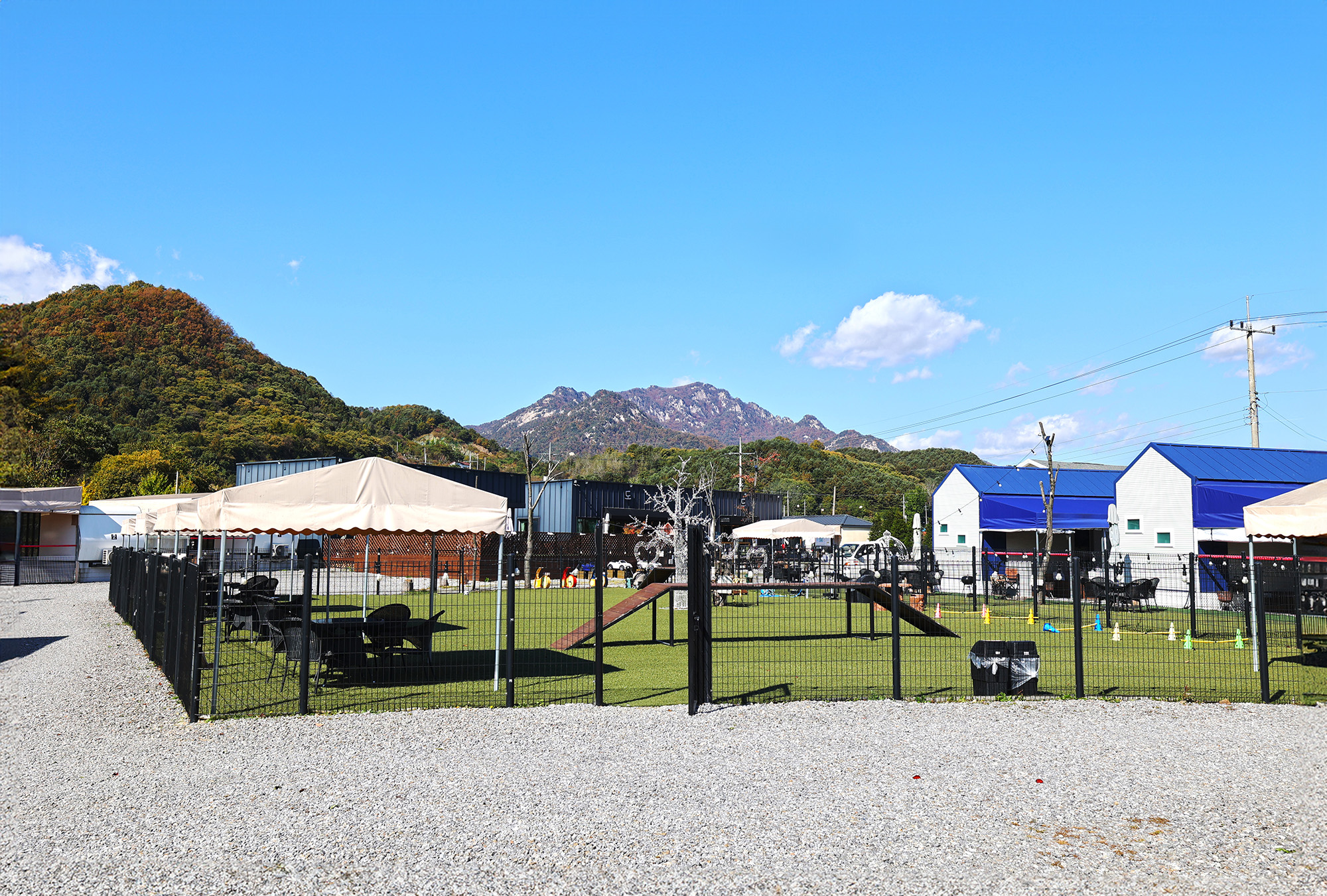 도그랜드 캠핑장 이미지