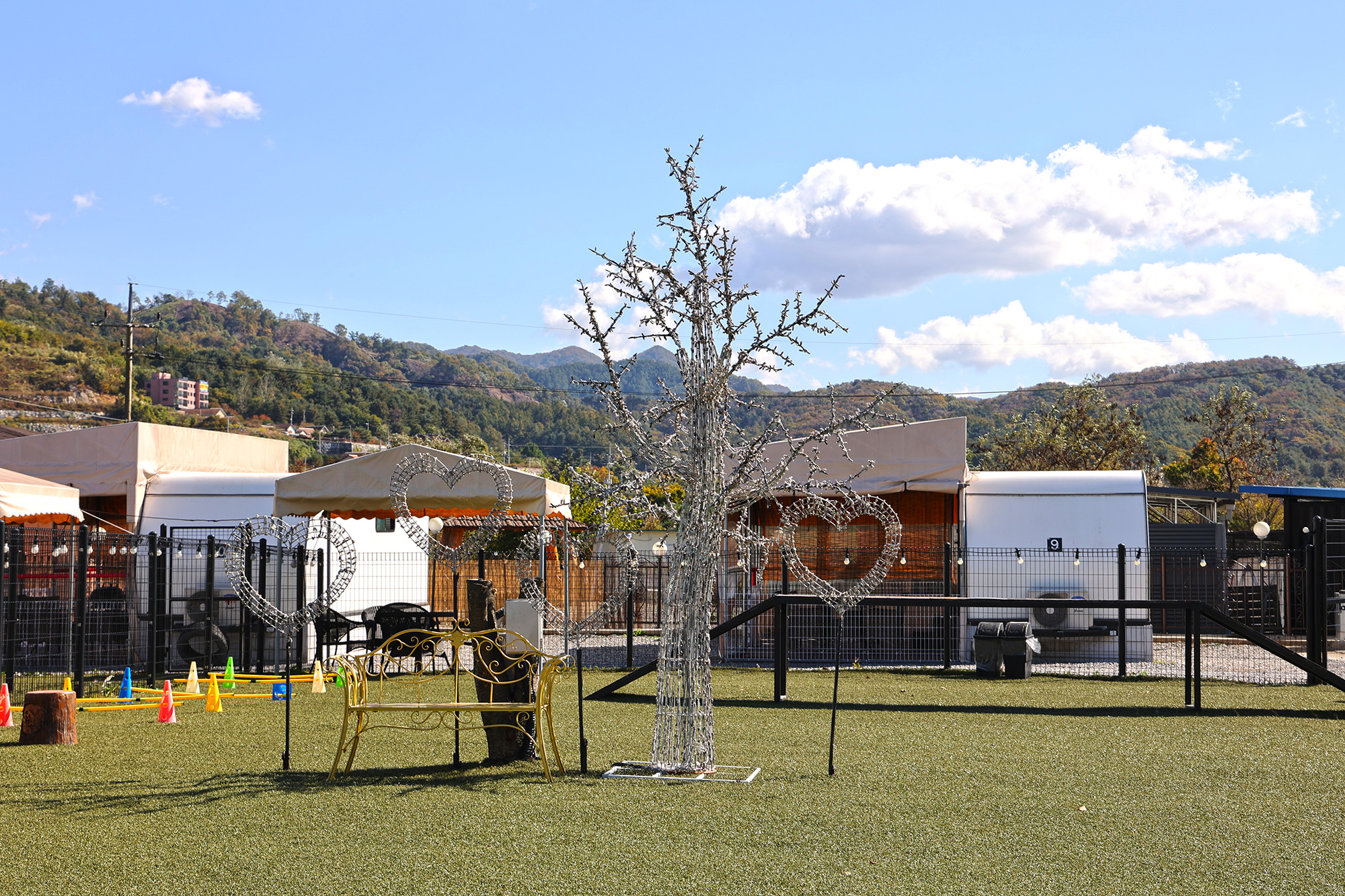 도그랜드 캠핑장 이미지