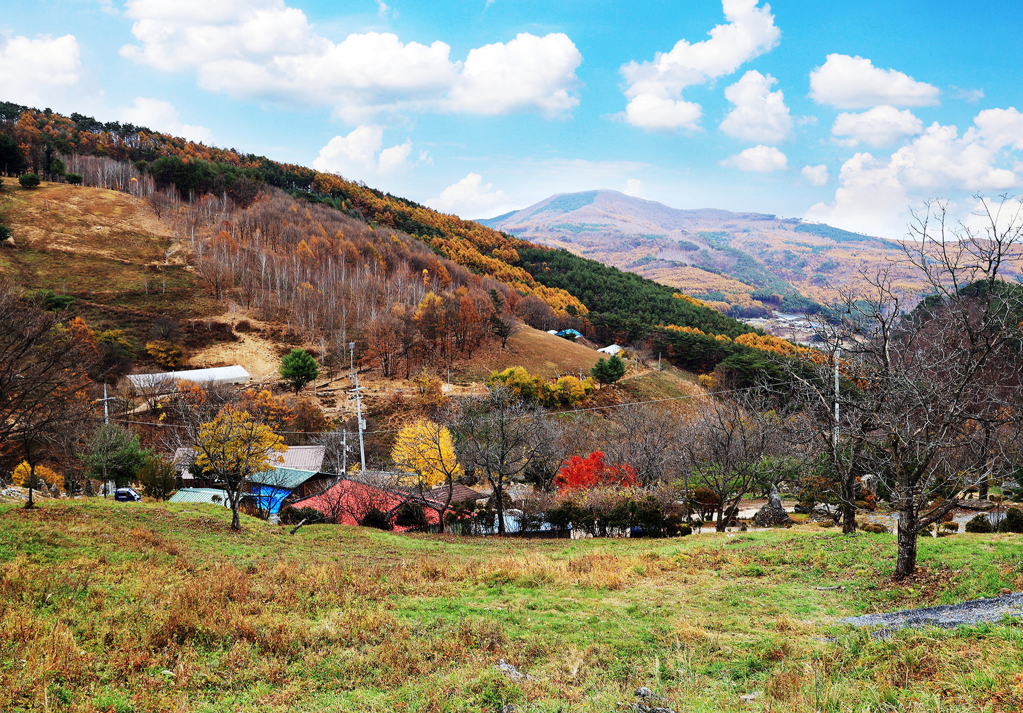 산너미목장 16번째 이미지