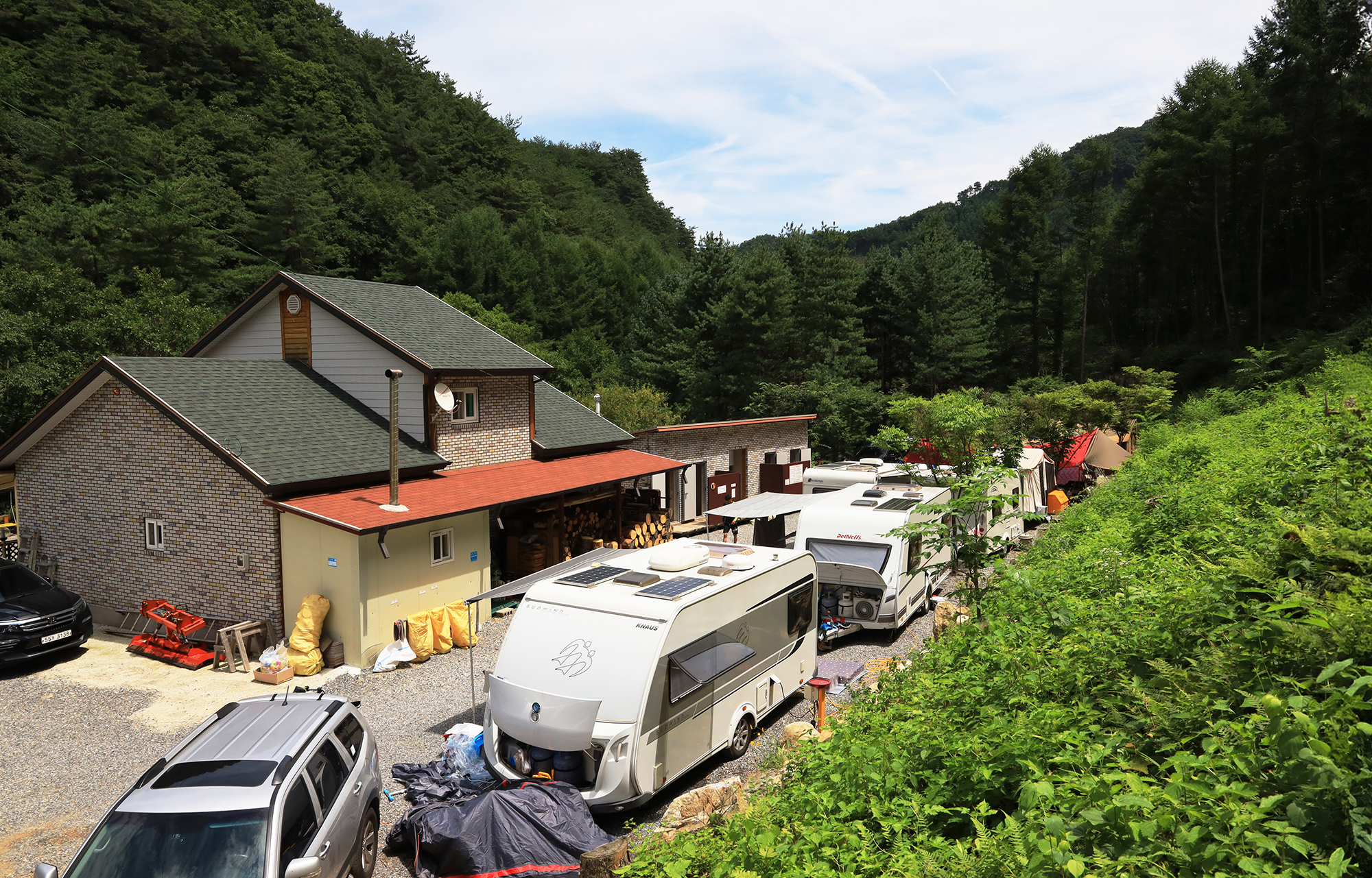 반딧불이 11번째 이미지