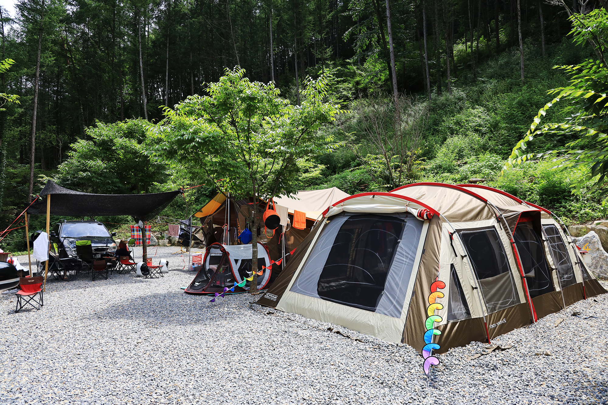 반딧불이 13번째 이미지