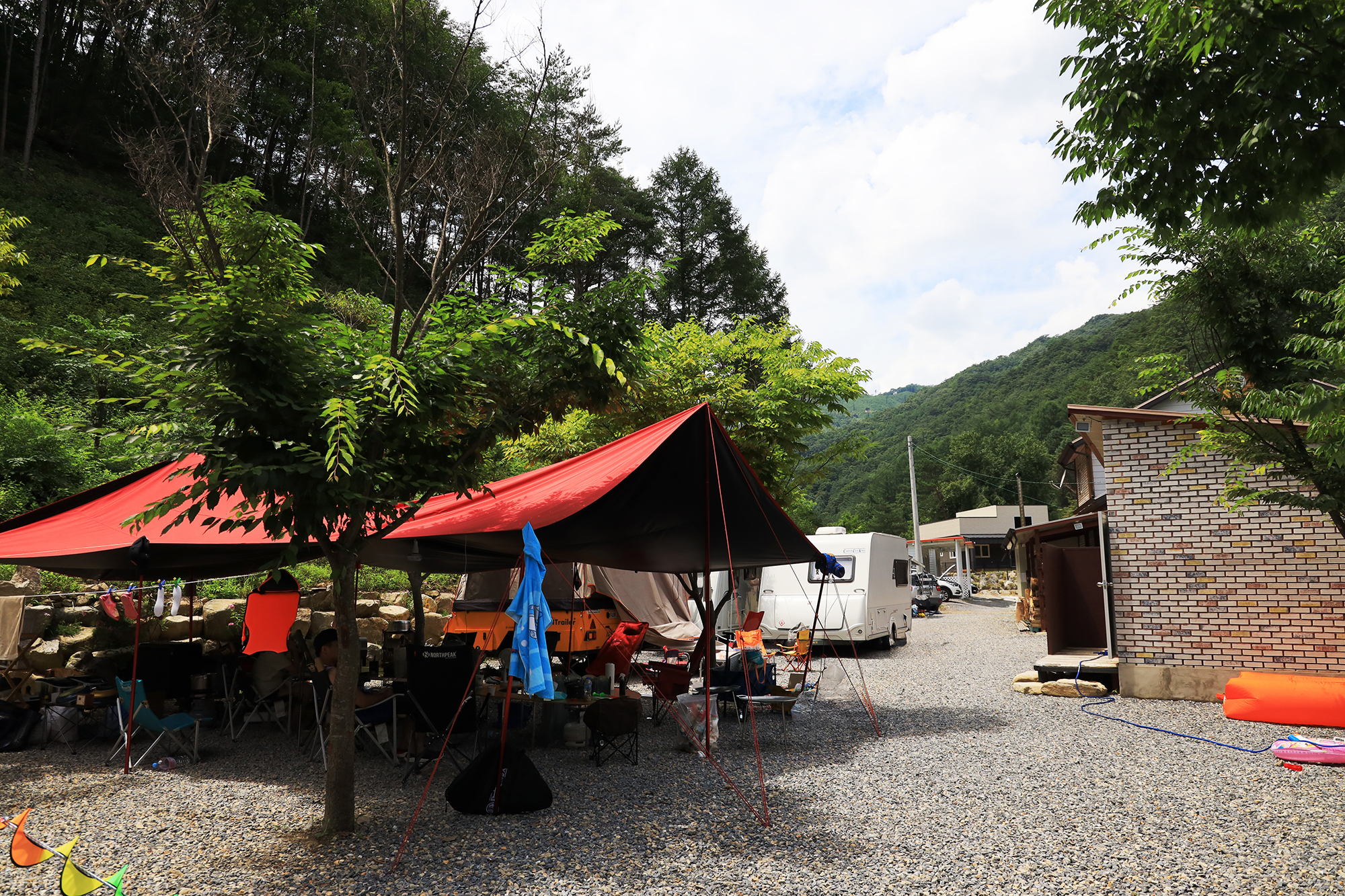 반딧불이 12번째 이미지