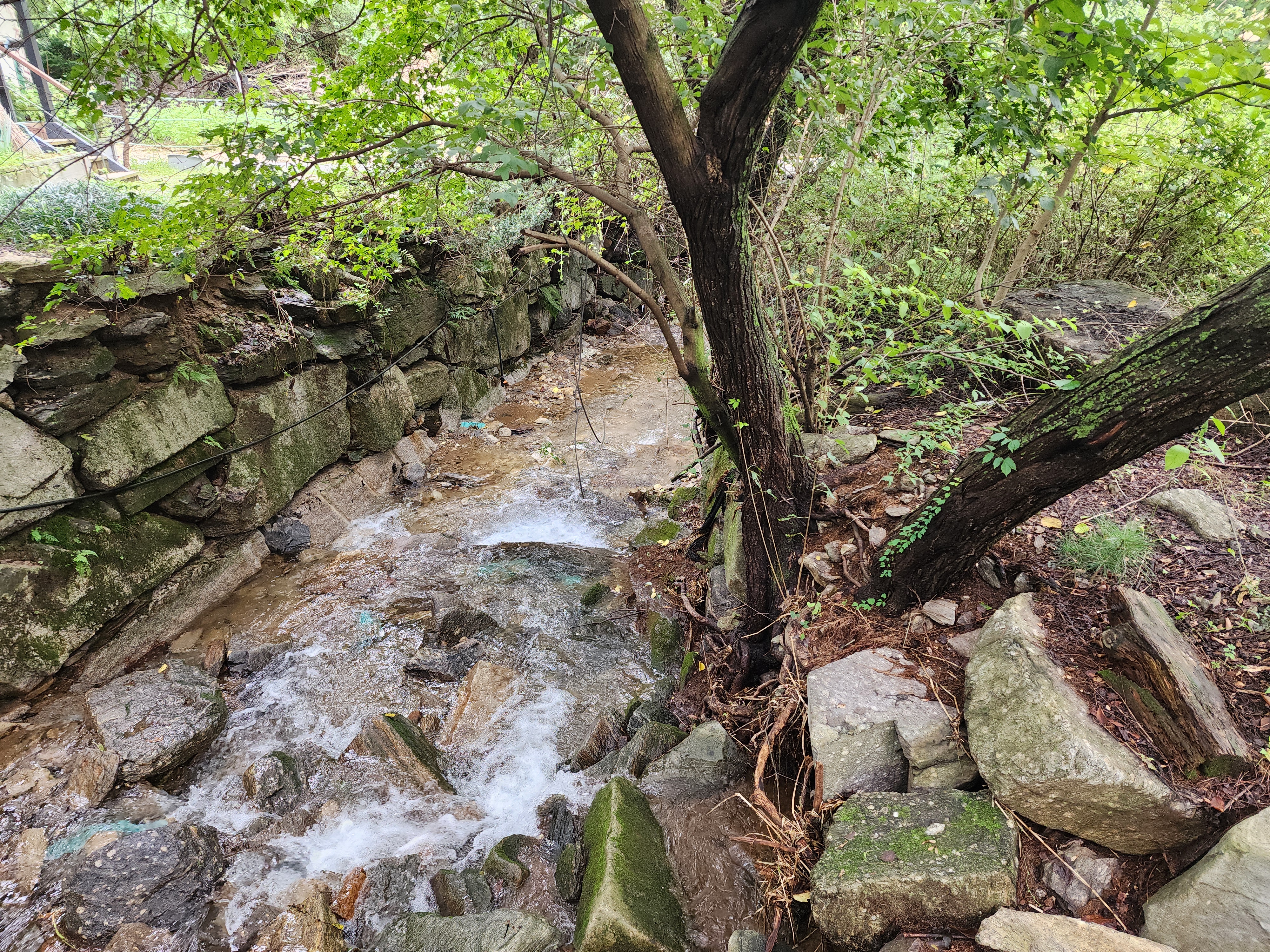 잣숲캠핑장 이미지