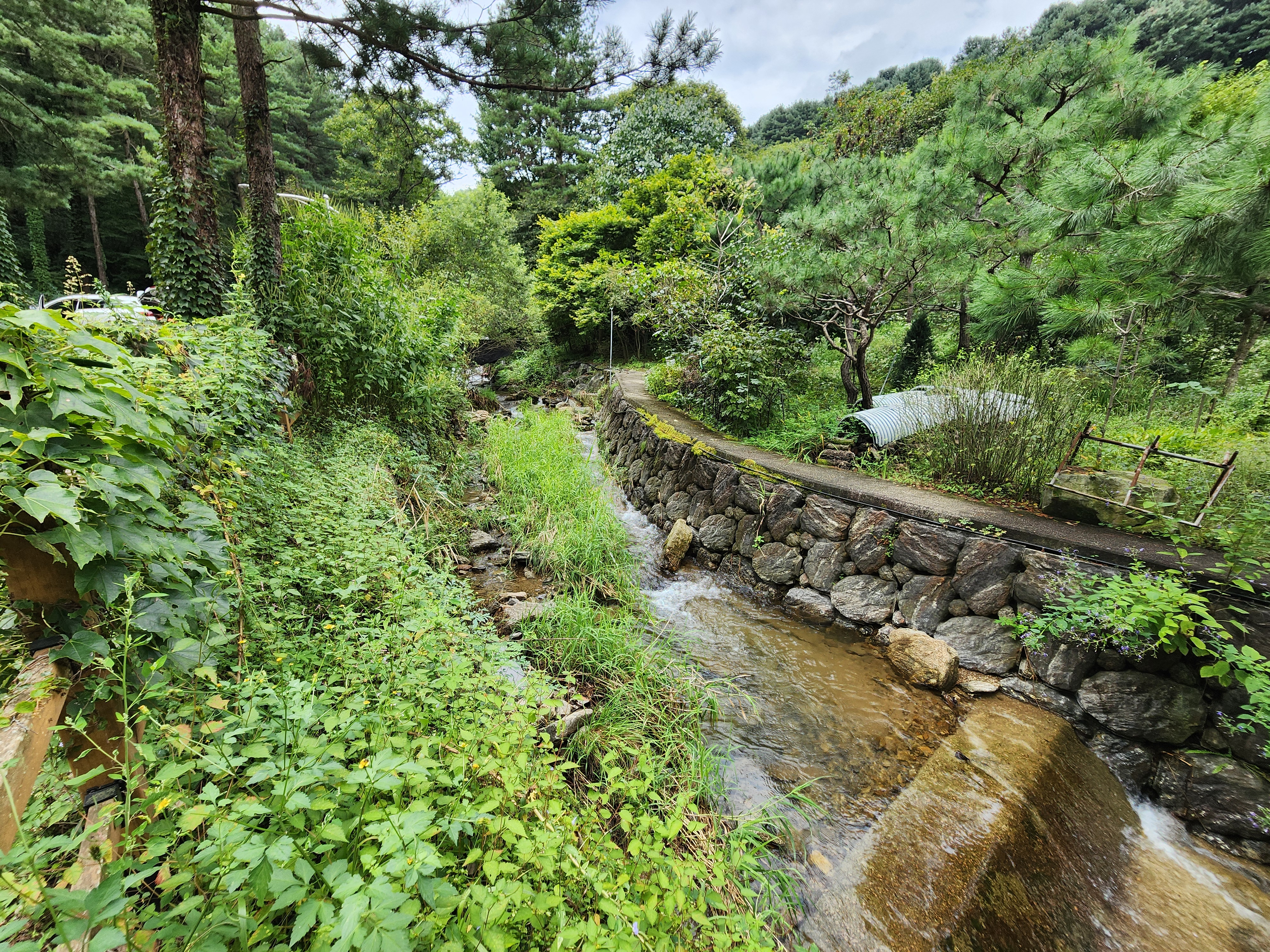 잣숲캠핑장 이미지