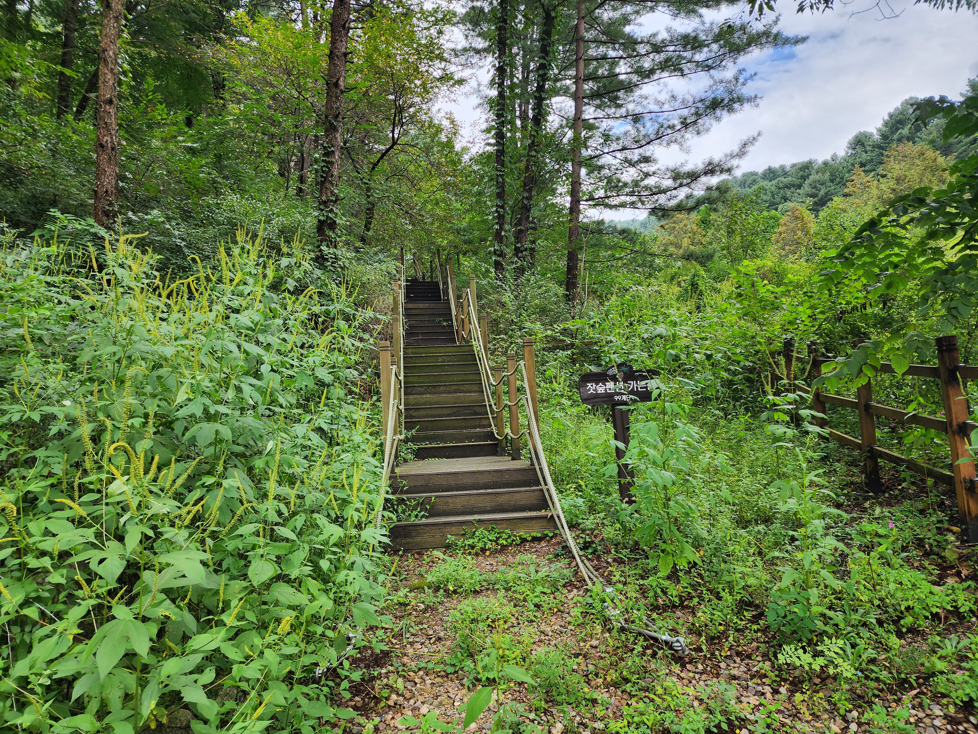 잣숲캠핑장 이미지