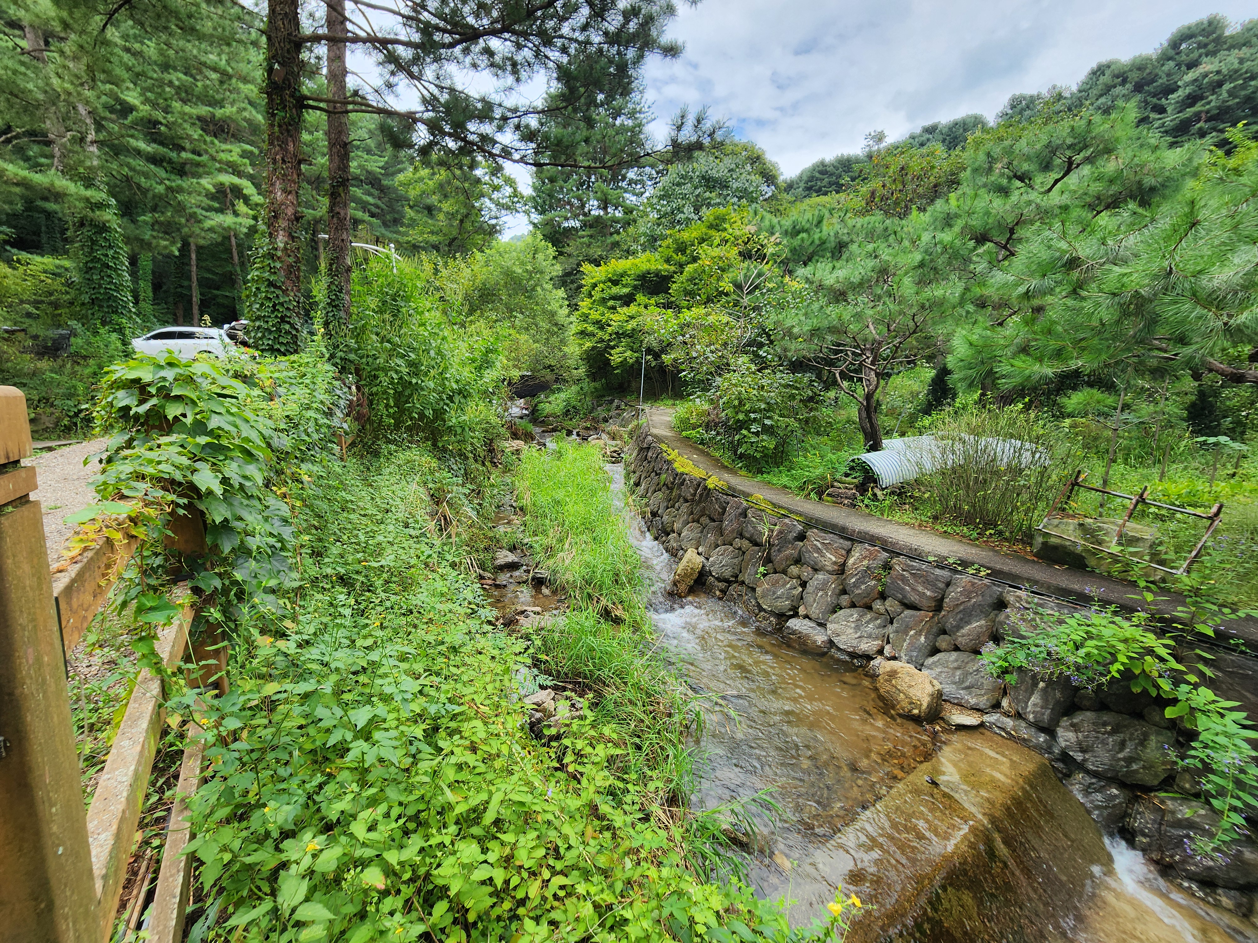 잣숲캠핑장 이미지
