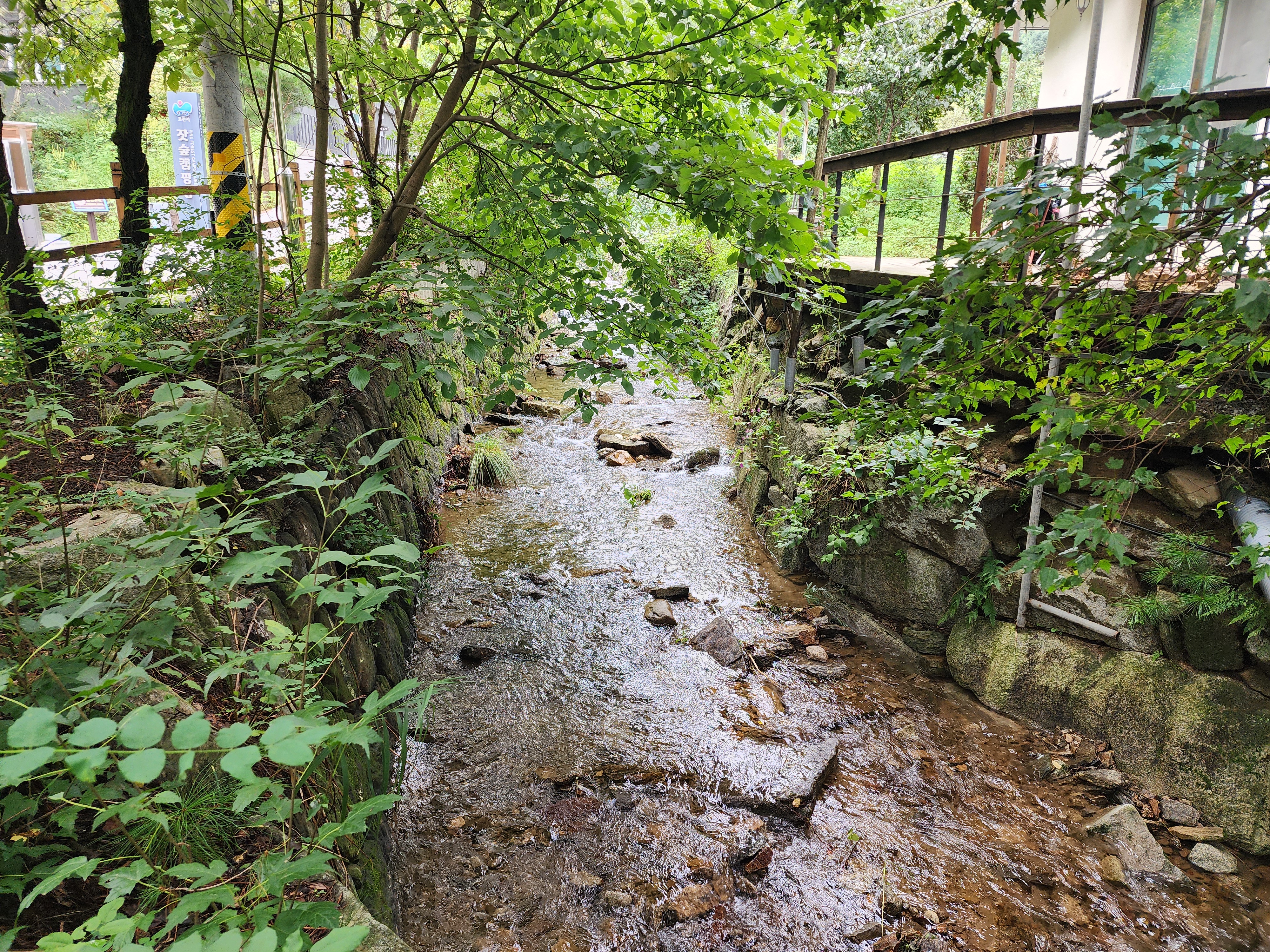 잣숲캠핑장 이미지